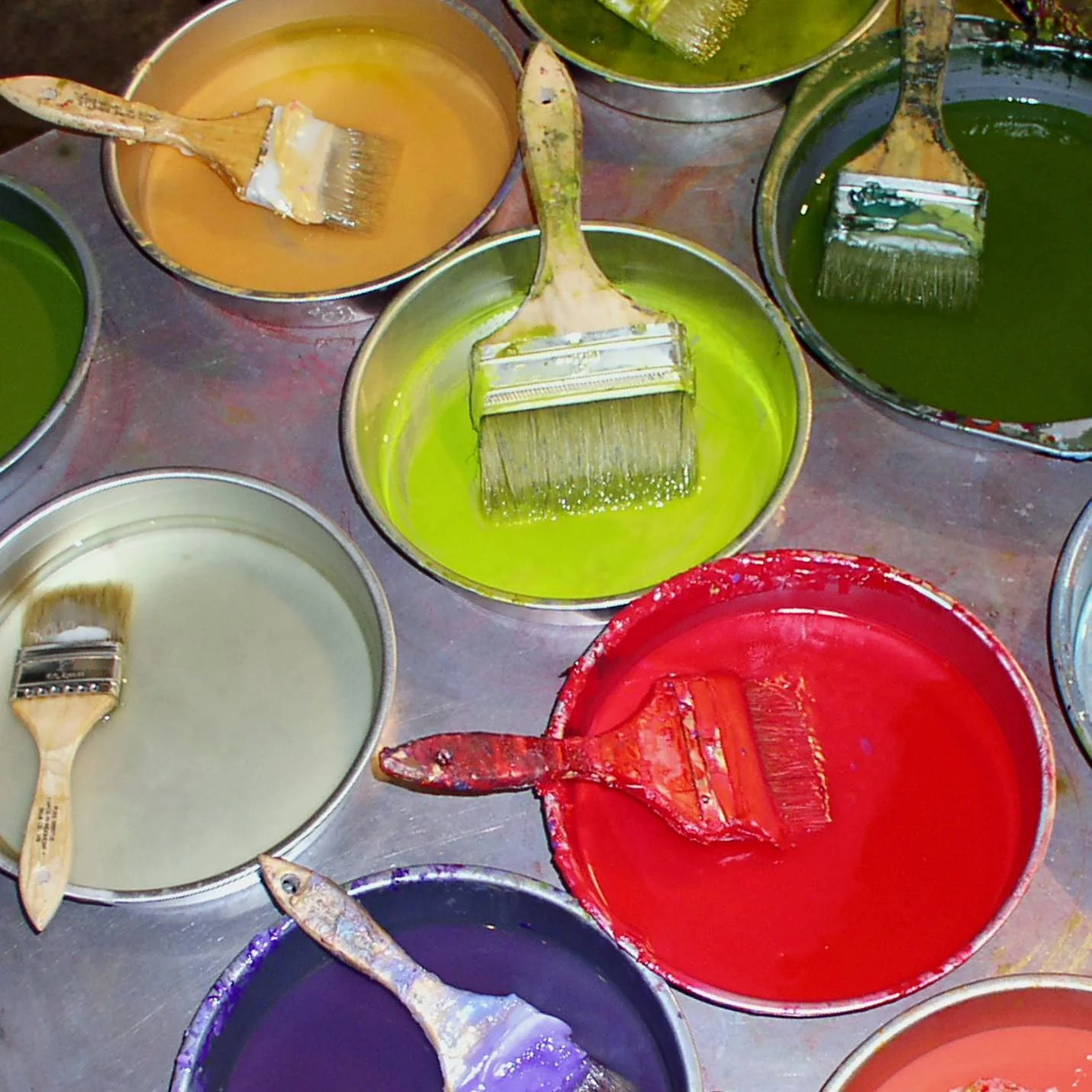 ©Debi Bodett - 2 - Debra Van Tuinen.jpg