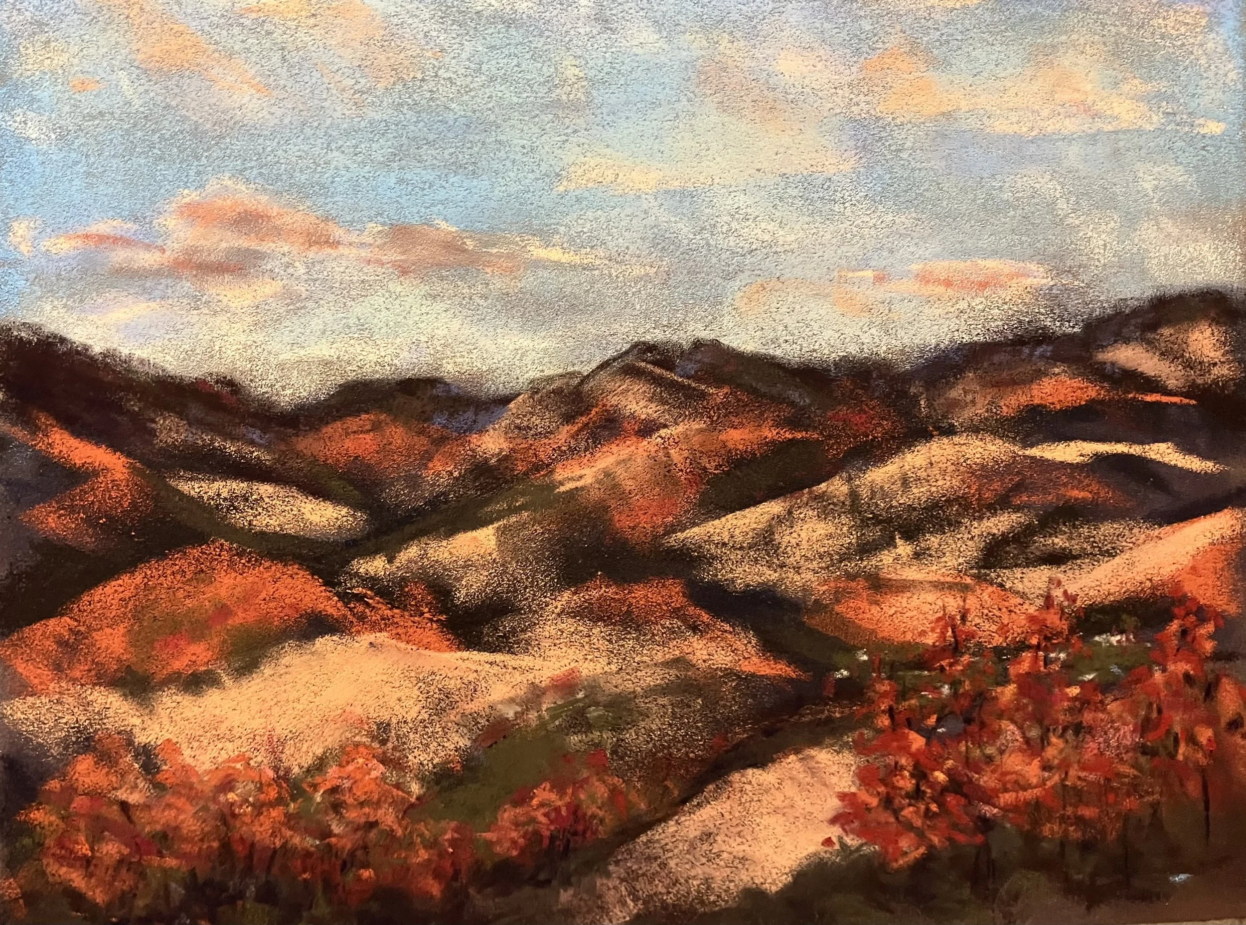 IMG_2201 - Carolyn Dillman.jpeg