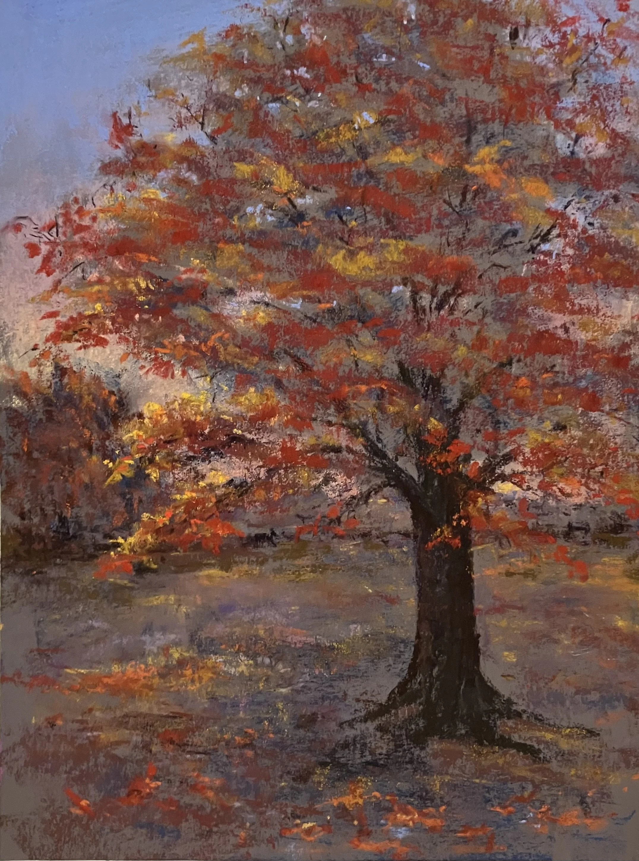 IMG_2188 - Carolyn Dillman.jpeg