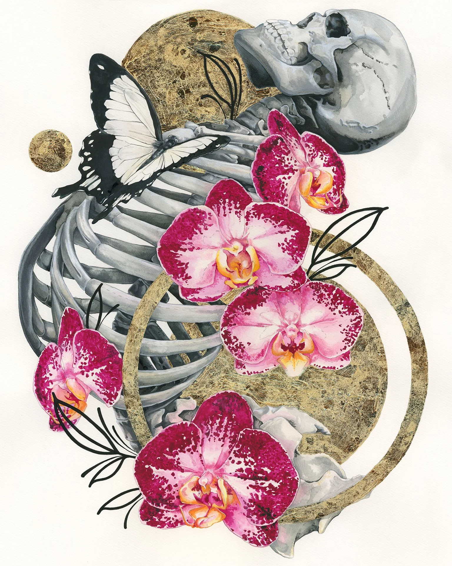 Jeté Small - Graybeal Illustrations.jpg