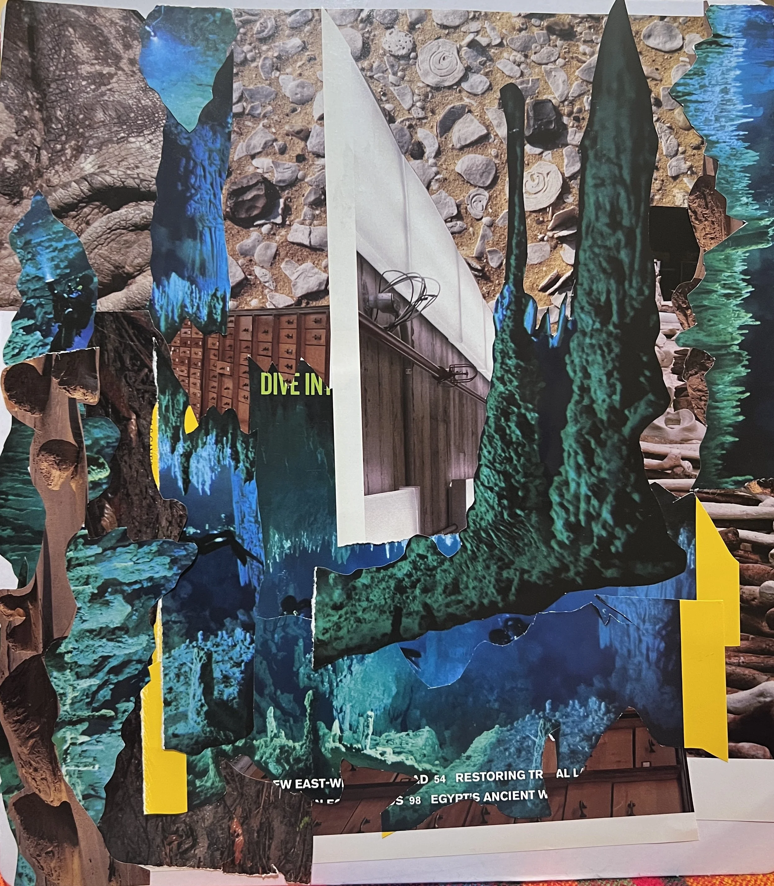 IMG_4787 - Teri Bevelacqua.jpeg