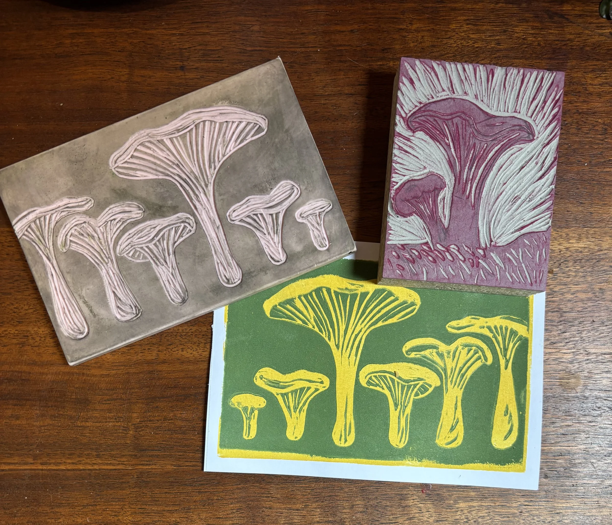 IMG_8609 - Tina Olson.jpeg