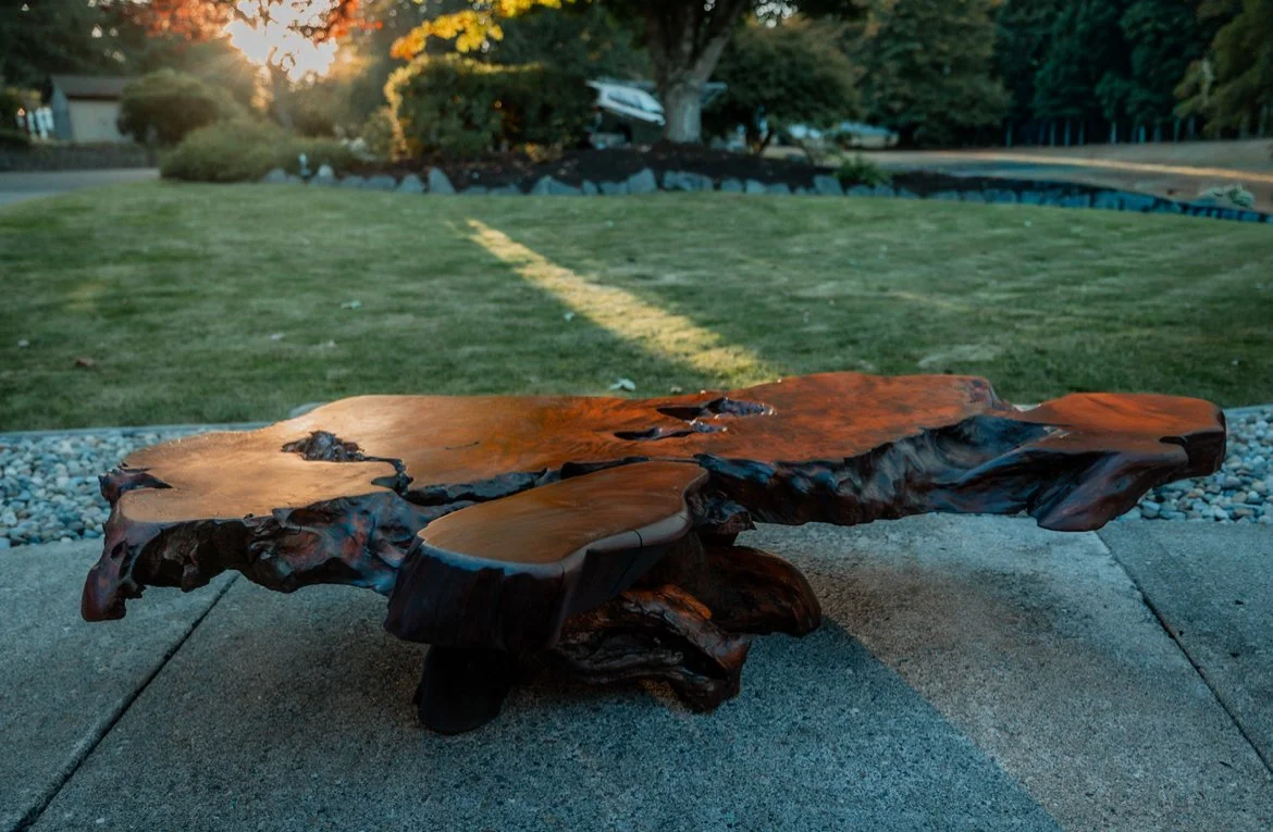 IMG_3136 - Patty Mitchell(1).jpeg