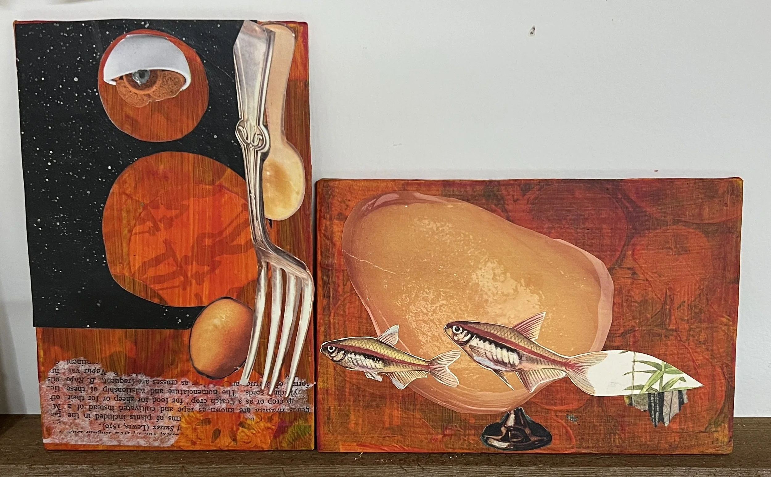 IMG_4714 - Teri Bevelacqua.jpeg