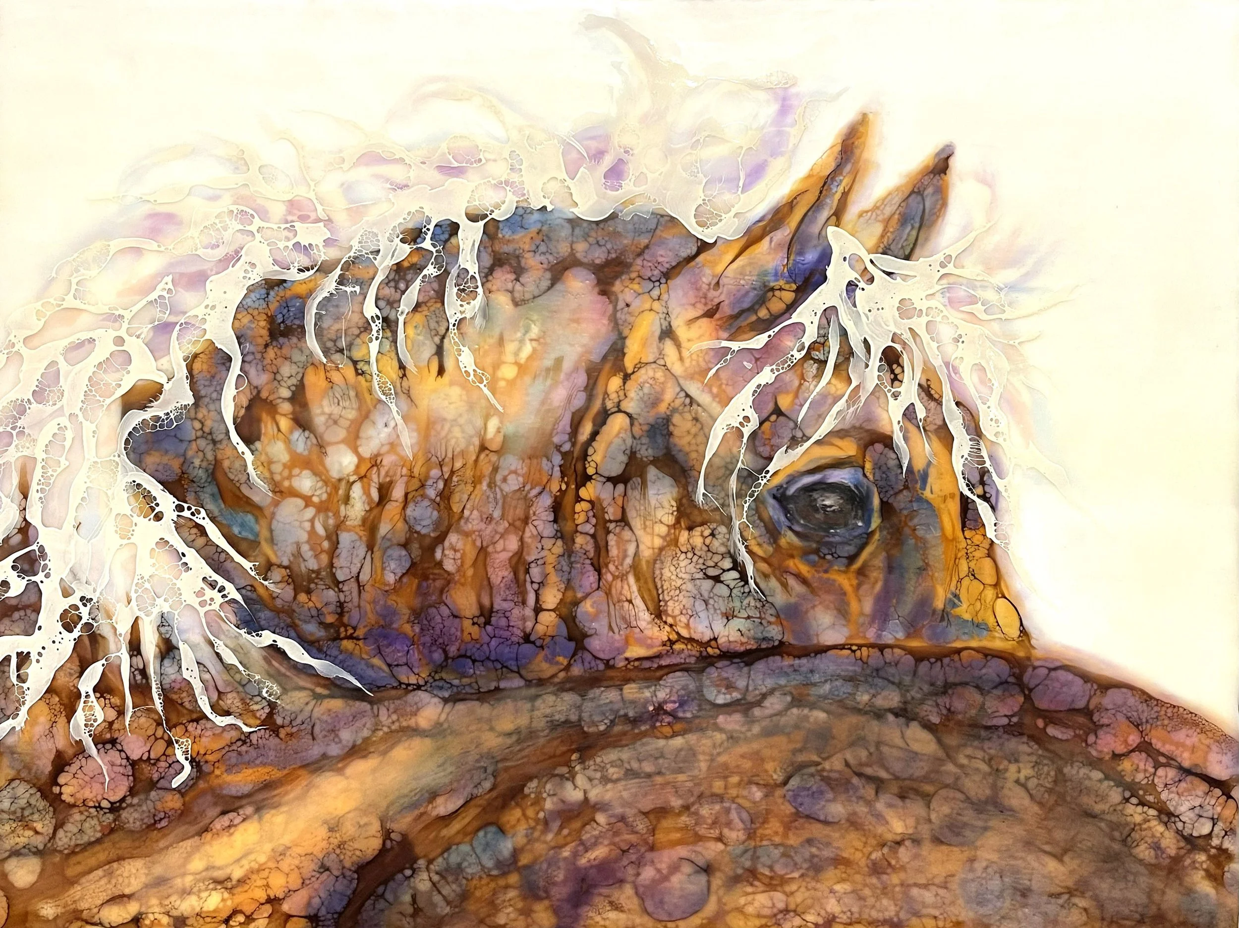 GabrielleEngland2-TheSoftLook - Gabrielle England.jpg