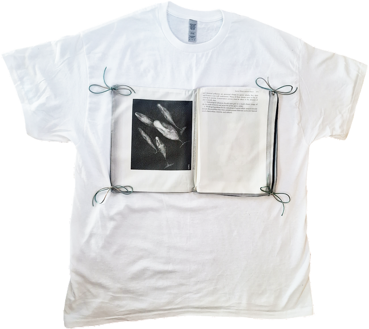 bookshirt 2 - Halo Lahnert.png