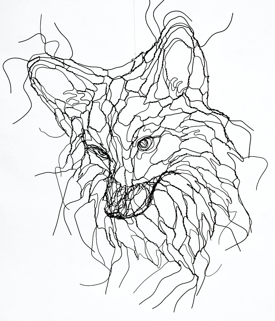 red_fox_mask2 - Elizabeth Berrien.jpg
