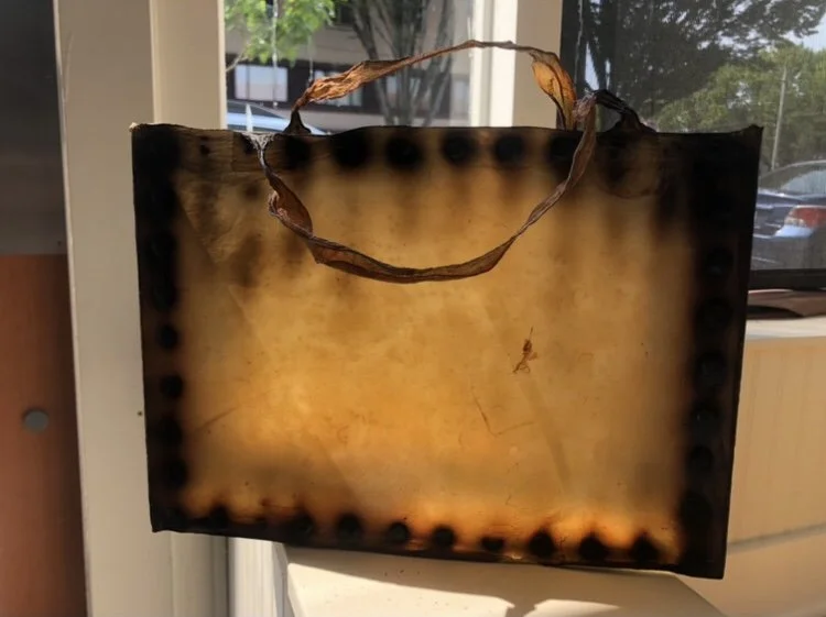 IMG_9968. kombucha bag - Lucy Meltzer.jpg