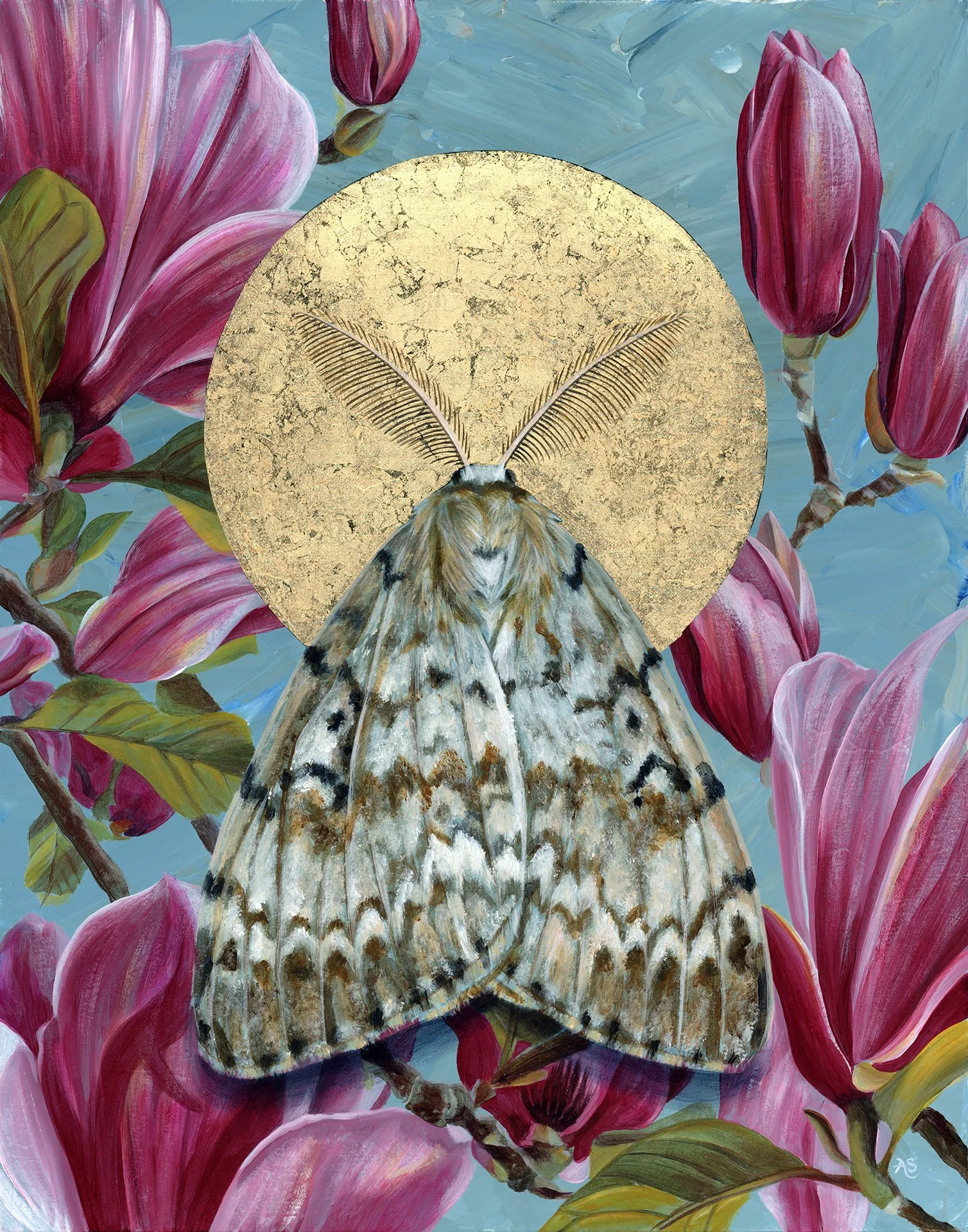 awake-spongy-moth-magnolia-aimee-schreiber - Aimee.jpg