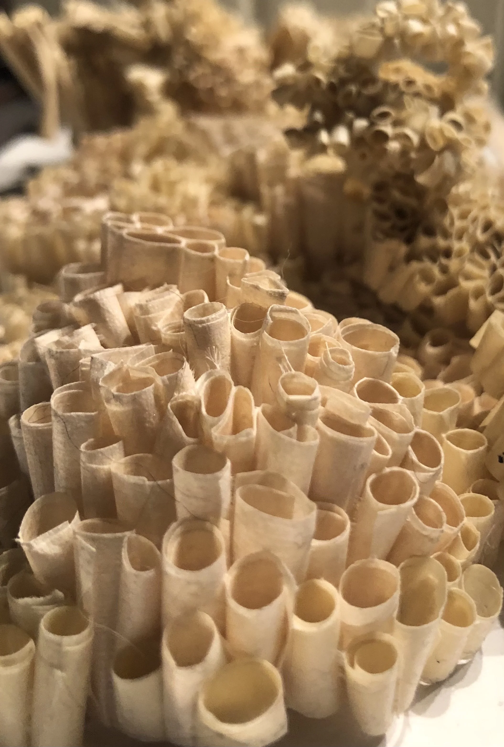 Tape - Lucy Meltzer.jpg