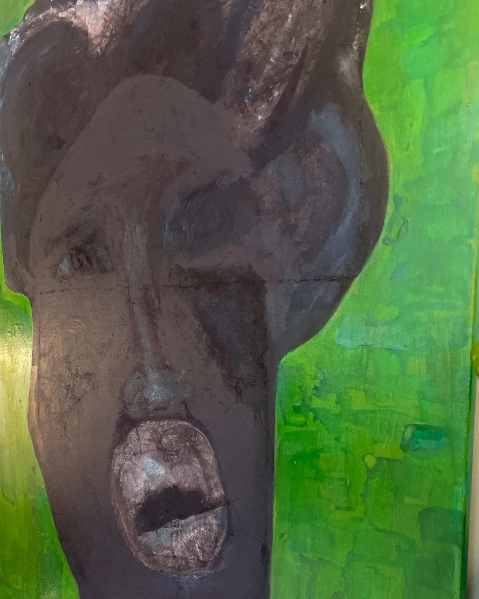 2F4AB9E8-5E96-4E74-949E-CCD254B1A4E5 - Sandra Bocas.jpeg