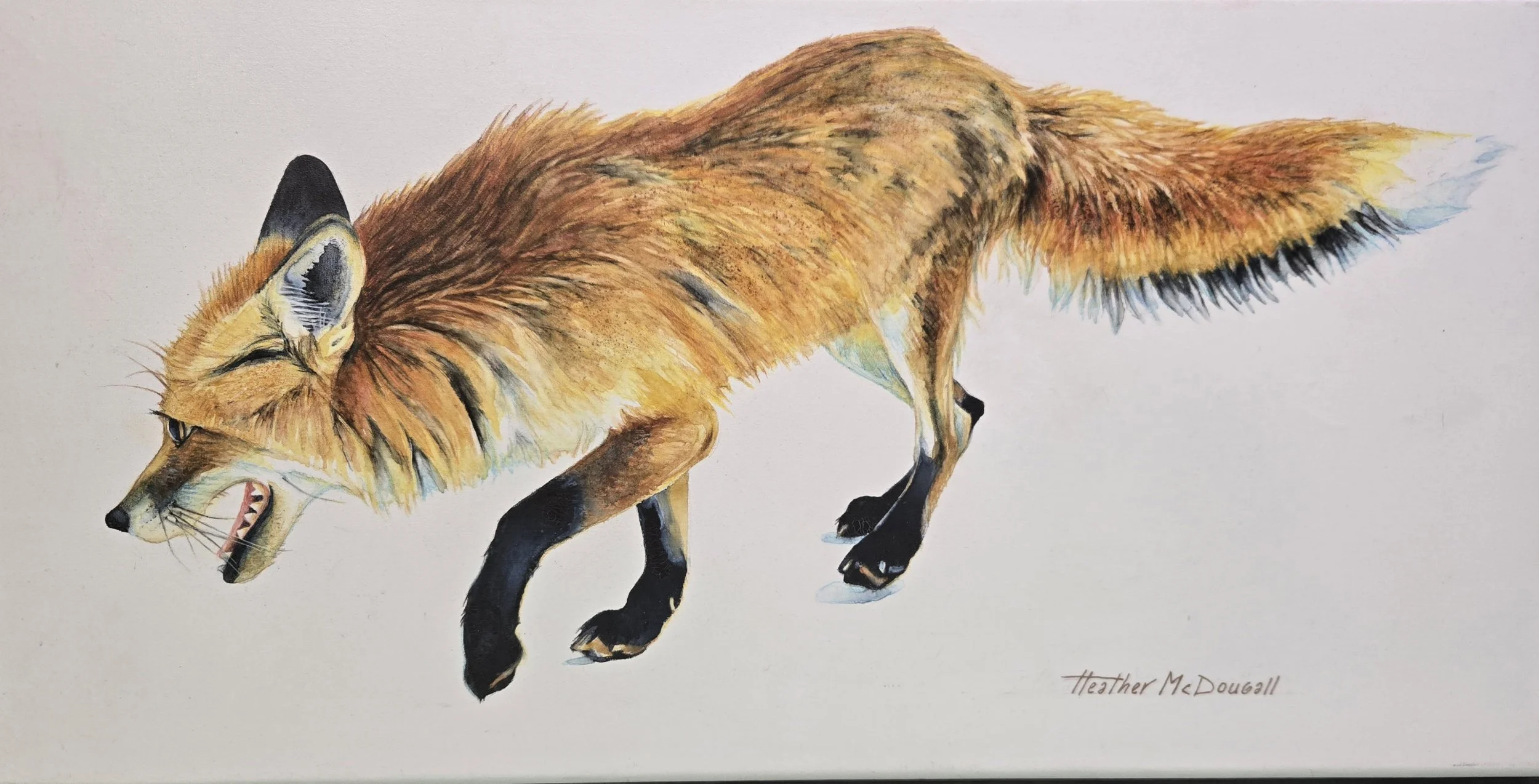 20250205_143021 - Heather Simons.jpg