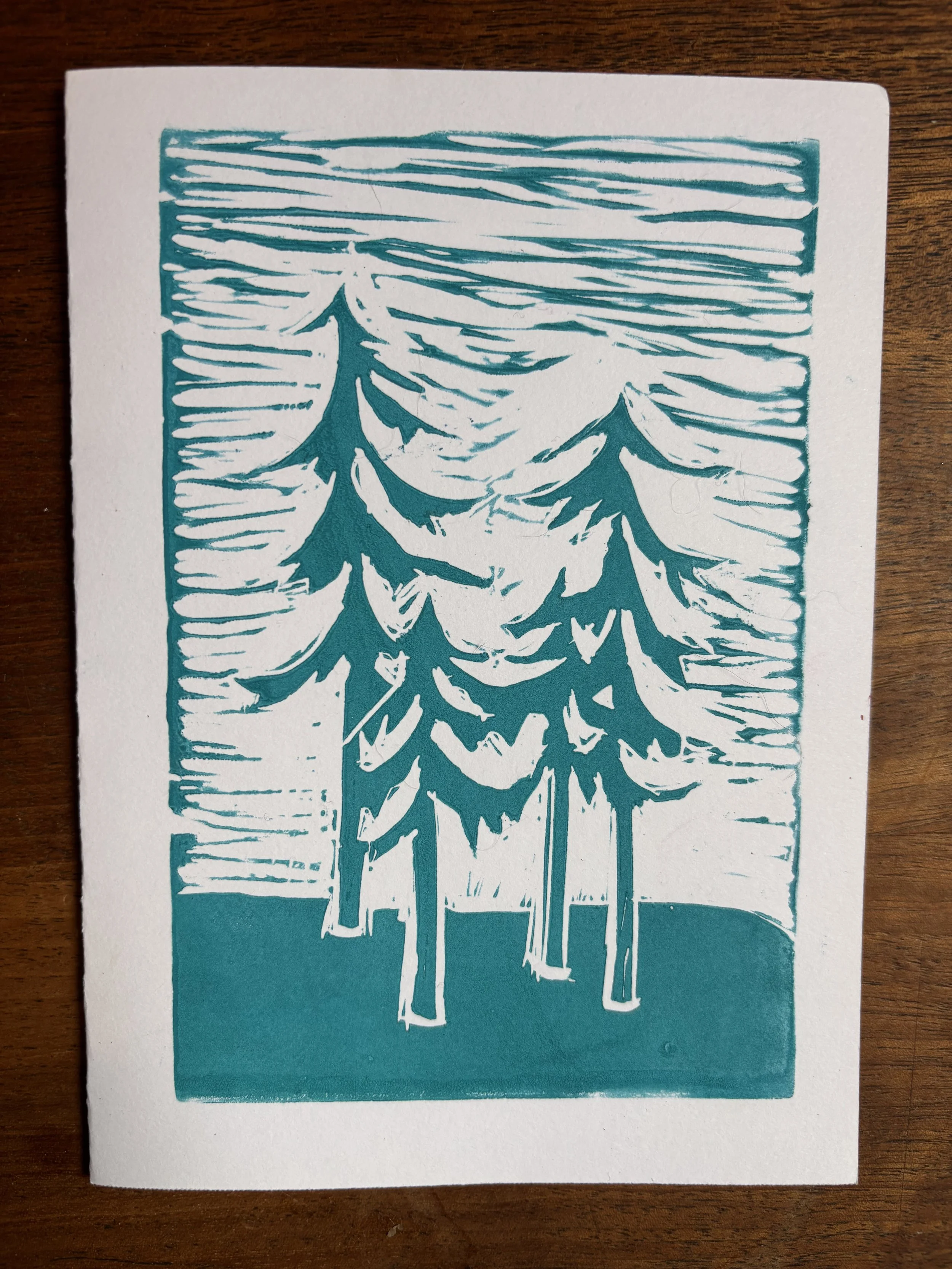 IMG_8610 - Tina Olson.jpeg