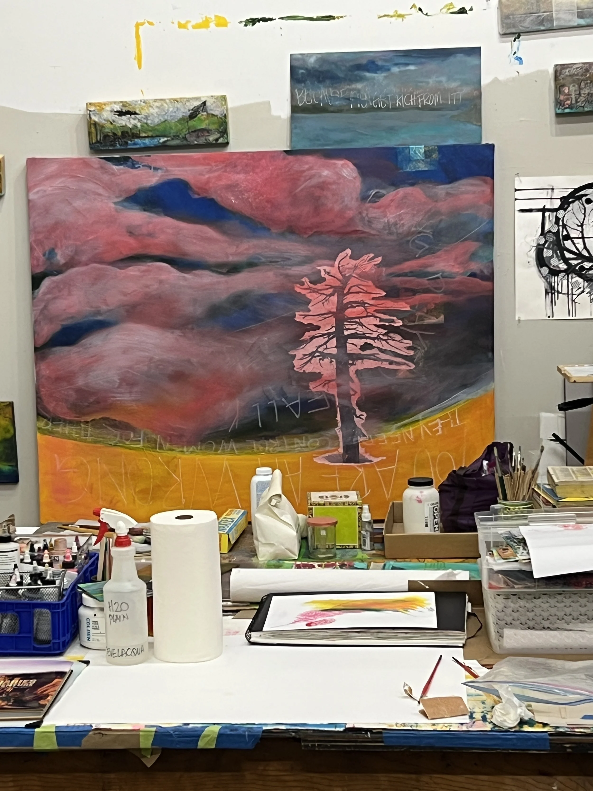 IMG_4703 - Teri Bevelacqua.jpeg