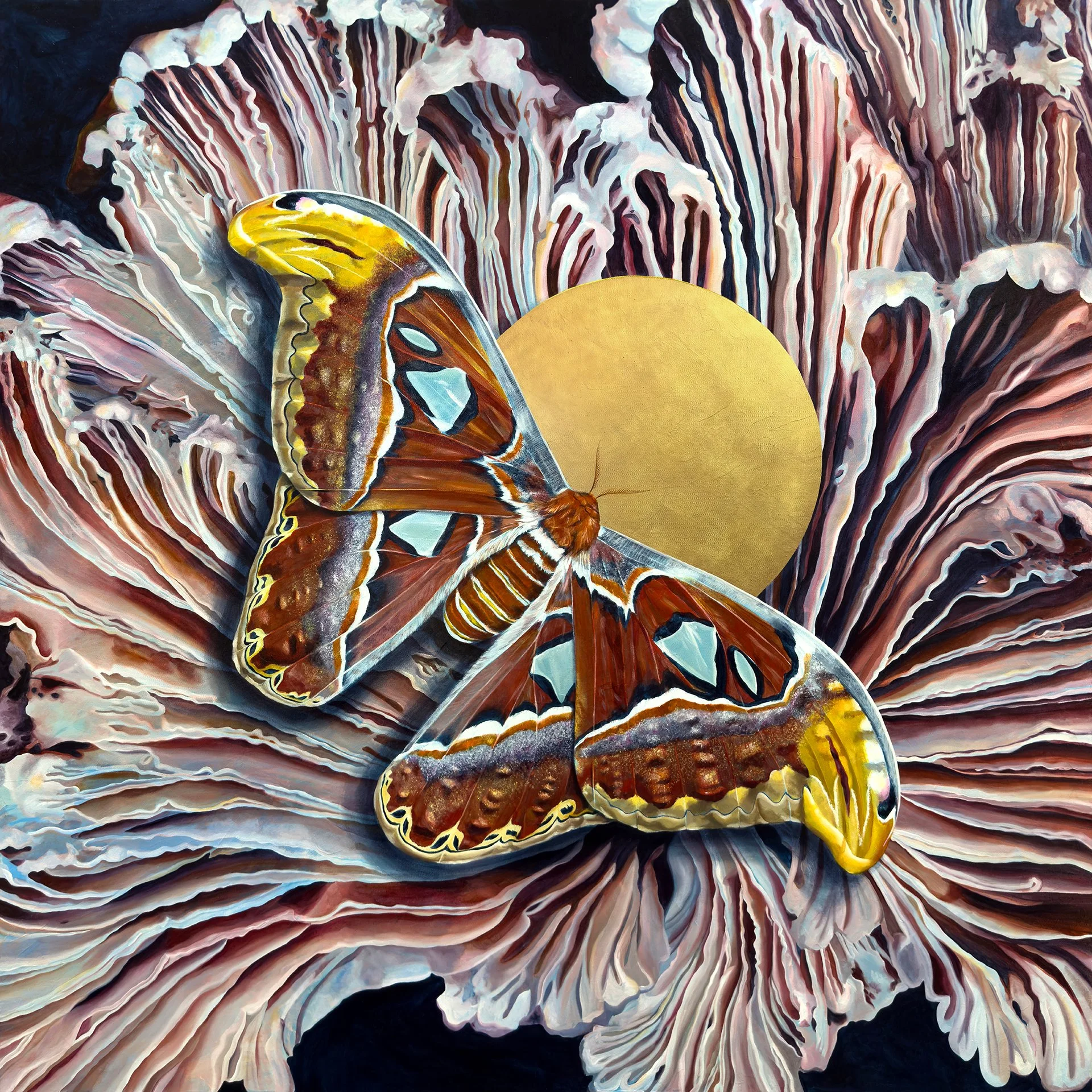 convergence-atlas-moth-aimee-schreiber - Aimee.jpg