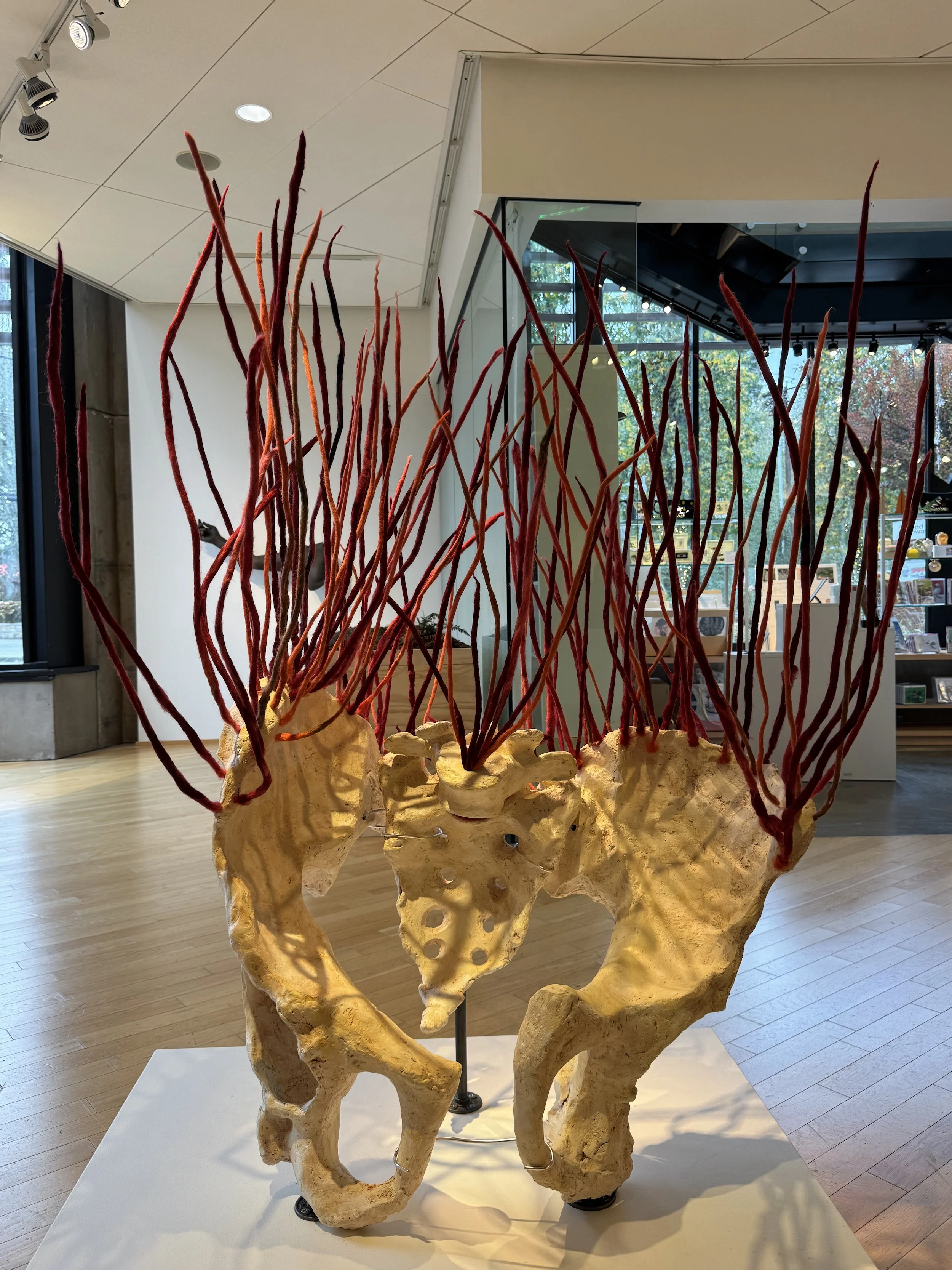 pelvis smaller - Aisha Harrison.jpeg