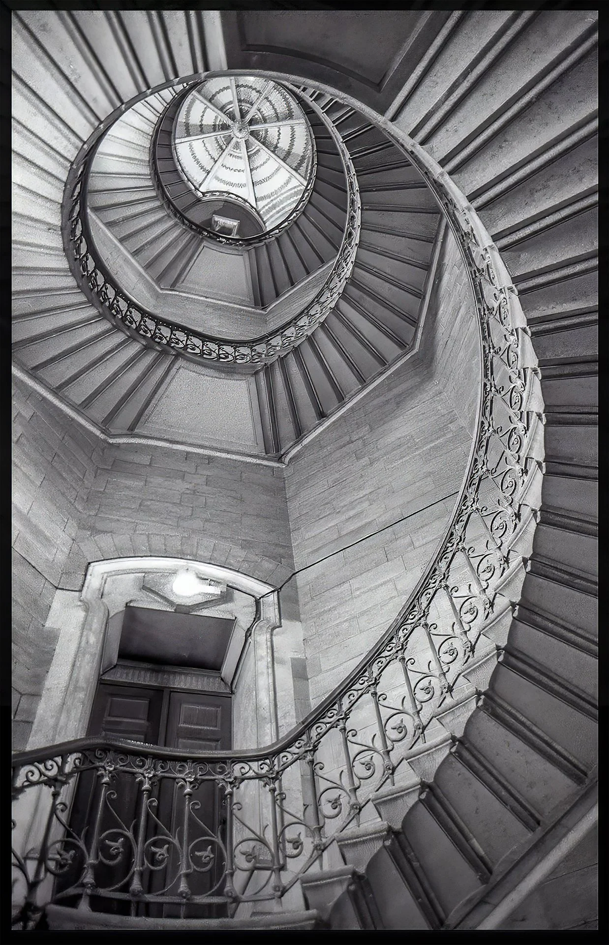 Fibonacci - Bob Haft.jpg