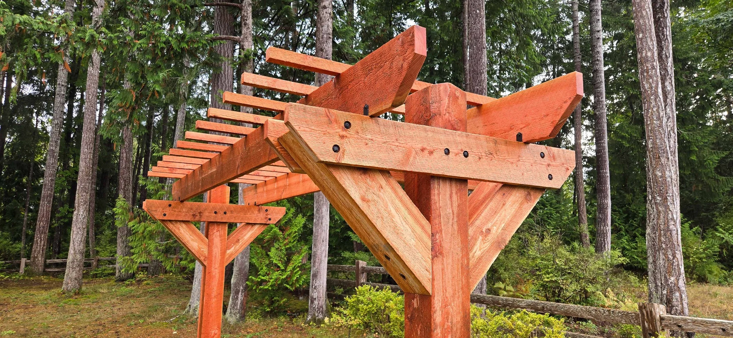 Wisteria Arbor-11.jpg