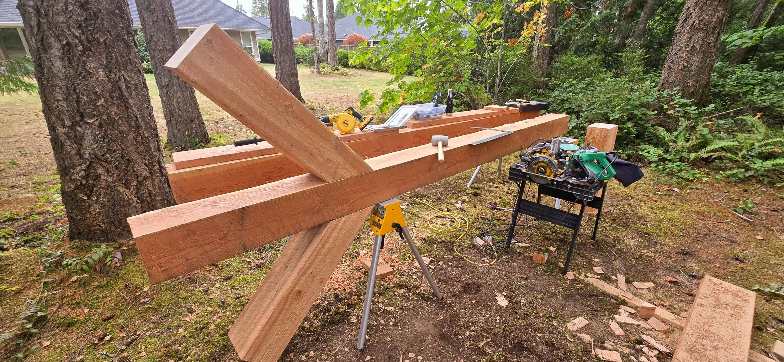 Wisteria Arbor-01.jpg