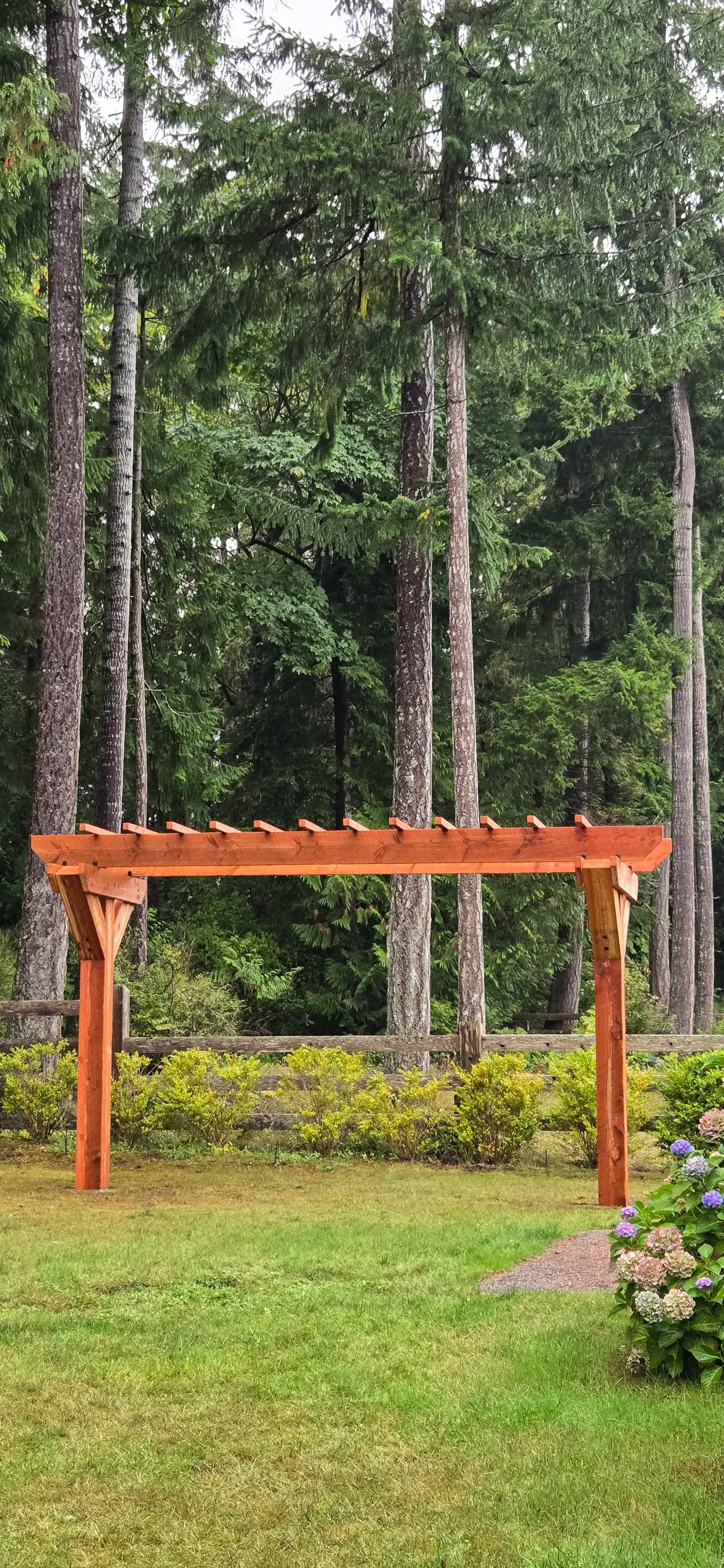 Wisteria Arbor-14.jpg