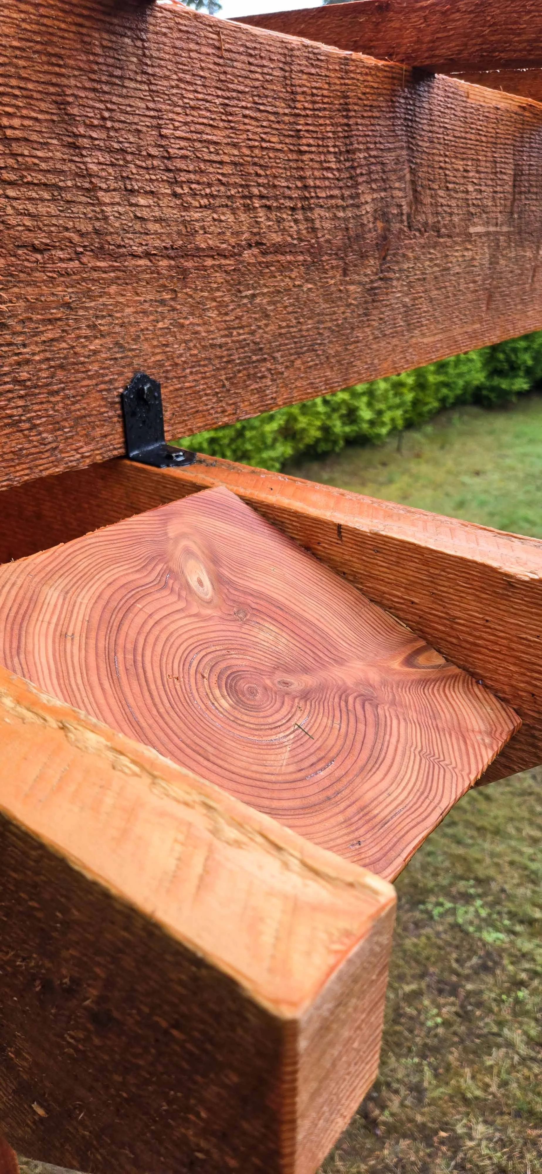 Wisteria Arbor-04.jpg