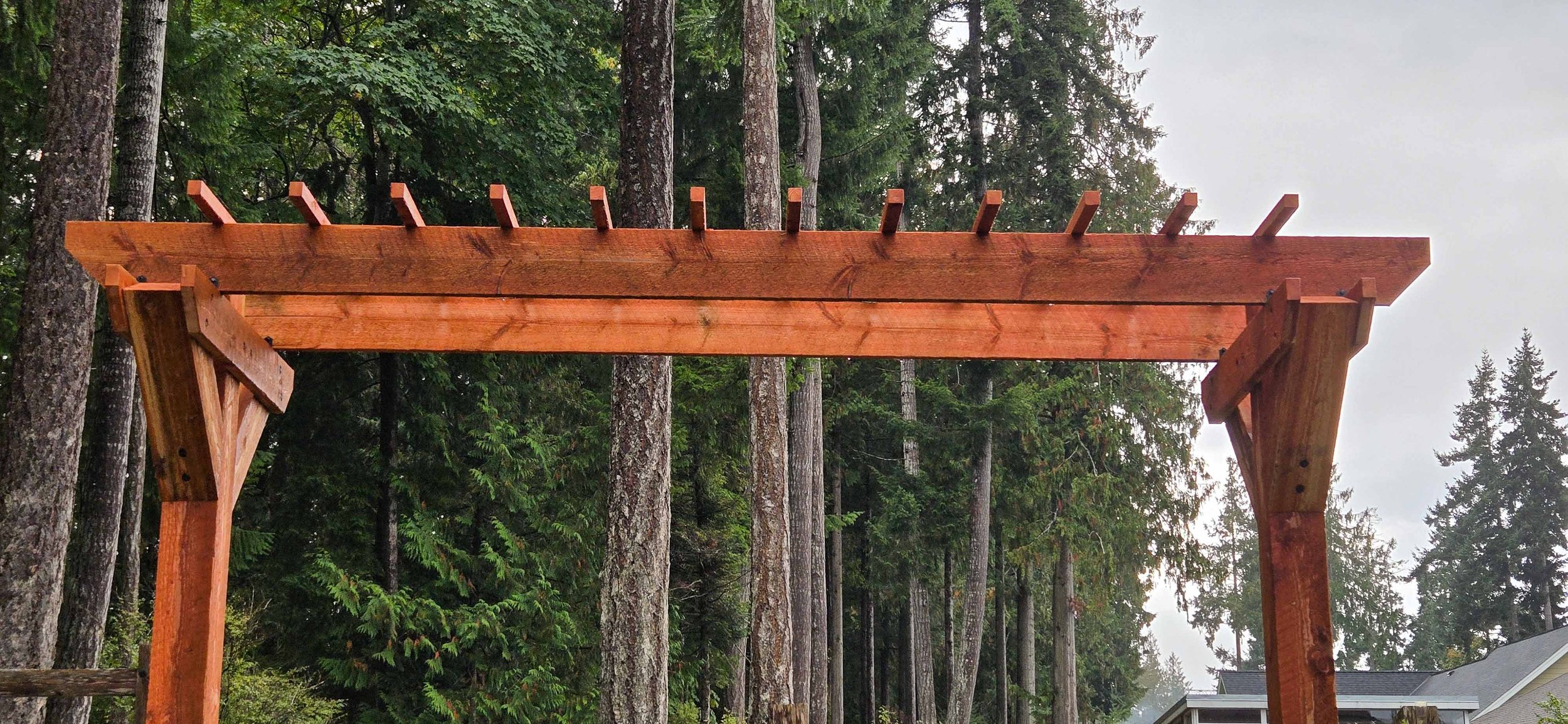 Wisteria Arbor-09.jpg