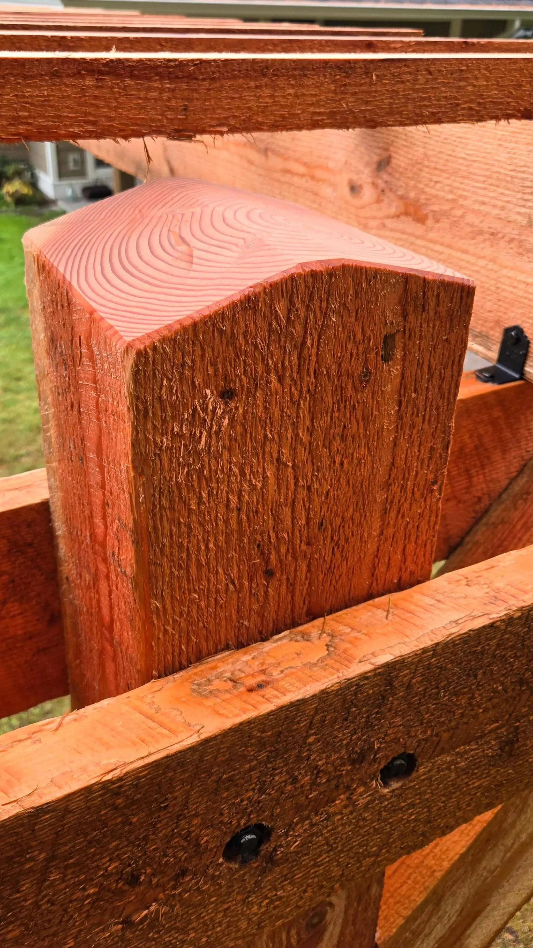 Wisteria Arbor-03.jpg