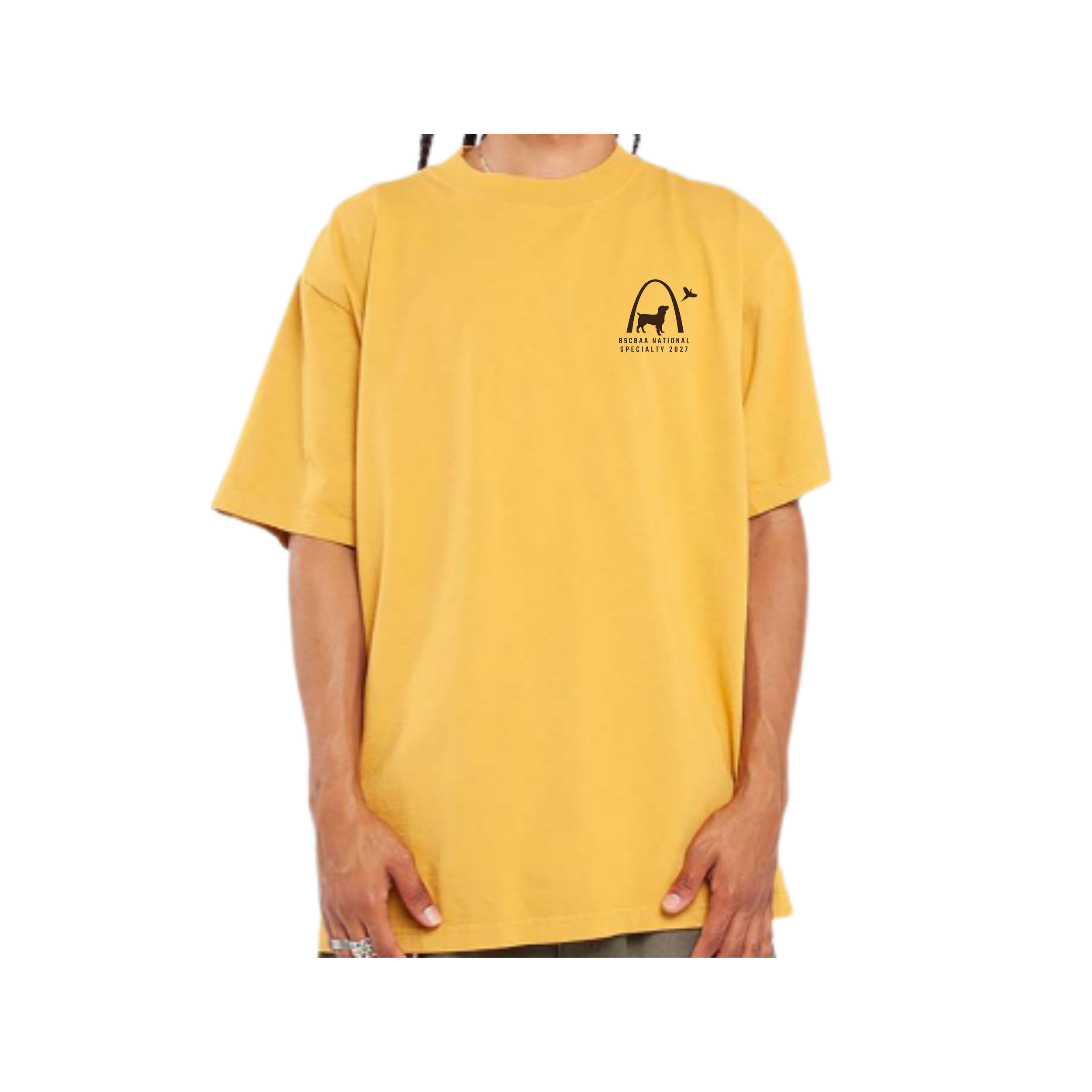 2027 BS (10).png
