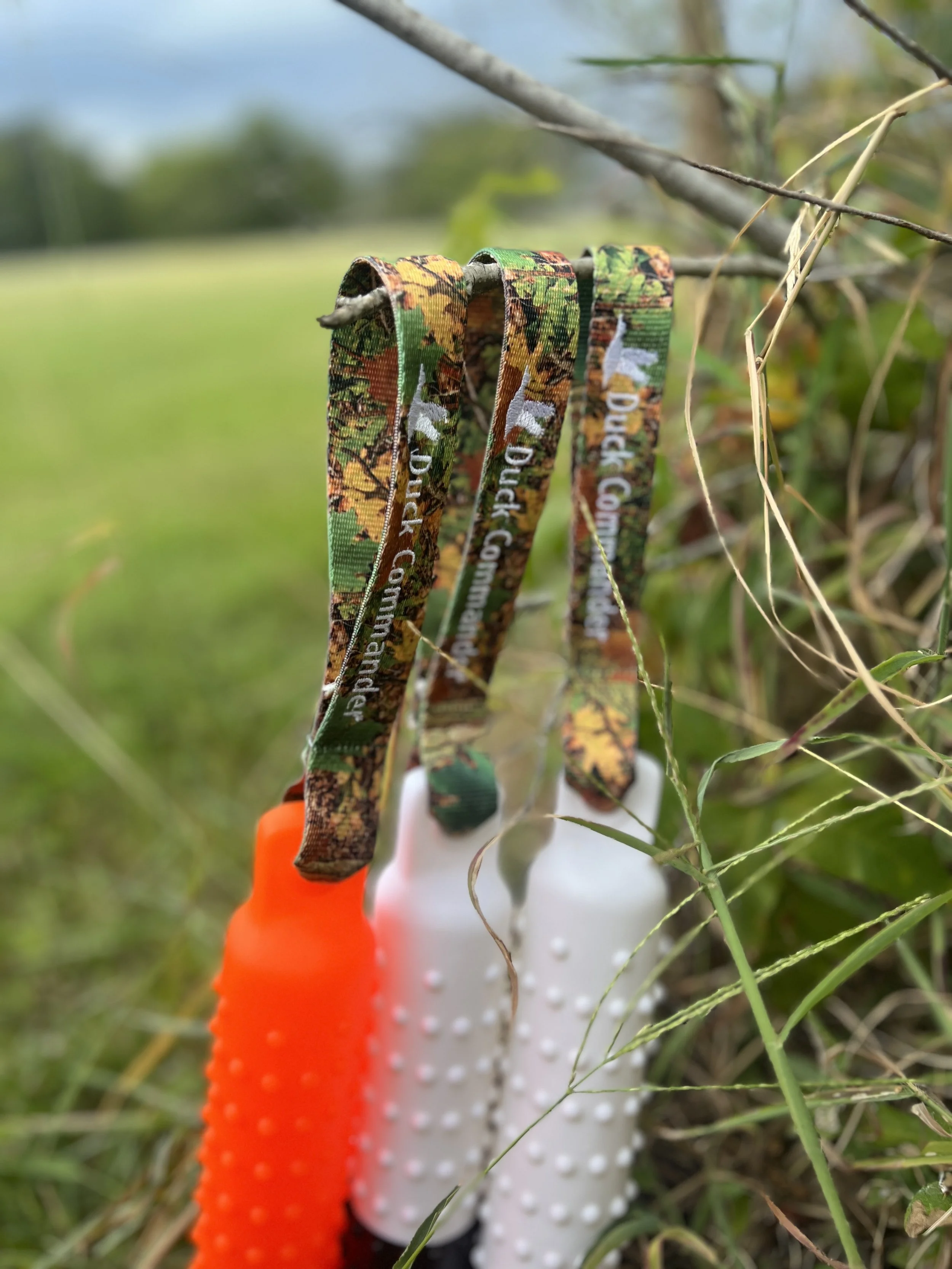 Custom Bumper