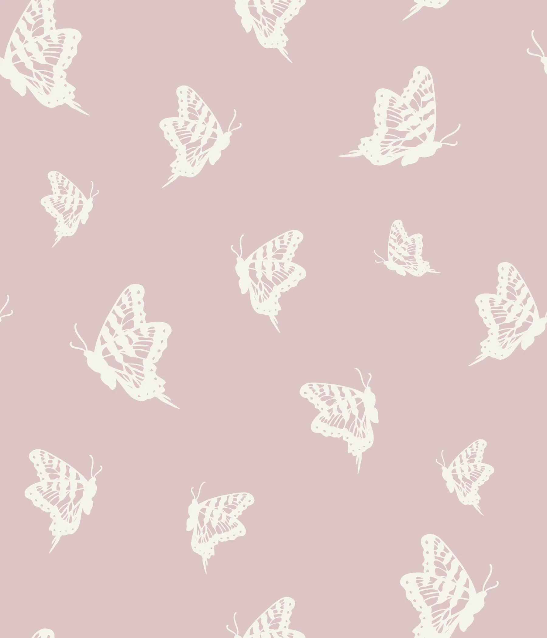 Butterfly on warm pink.jpg