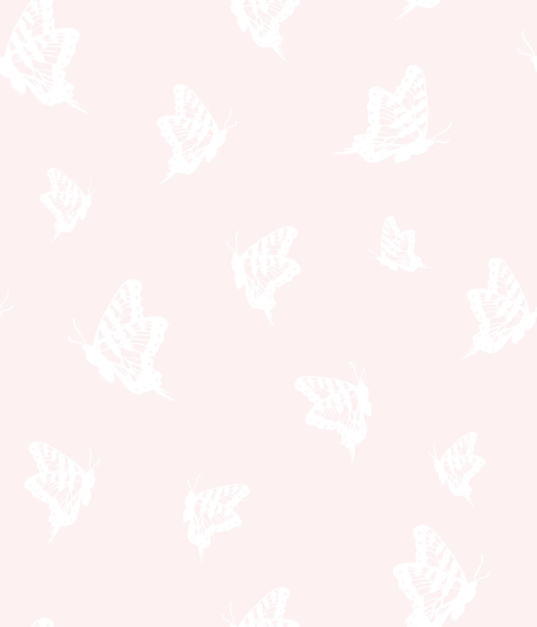 Butterfly on pale pink.jpg