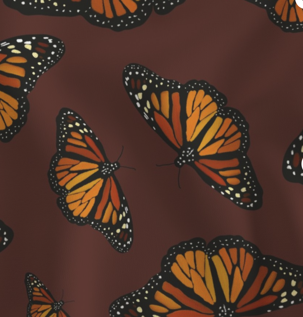 Screenshot 2026-01-08 at 2.05.55 PM.png