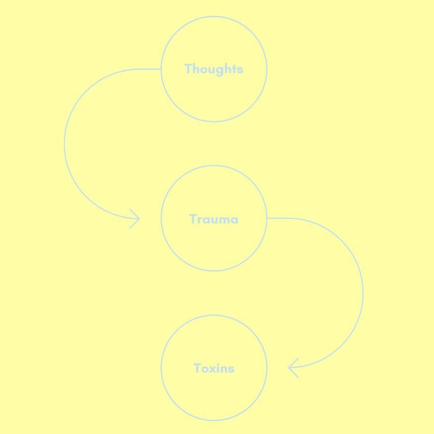 🌟Let&rsquo;s talk about the 3 T&rsquo;s: Thoughts, Traumas, and Toxins! 🌟

These three factors can significantly impact your health and well-being 🧠 Thoughts are emotional stressors that influence your mindset; Traumas are physical stressors that 