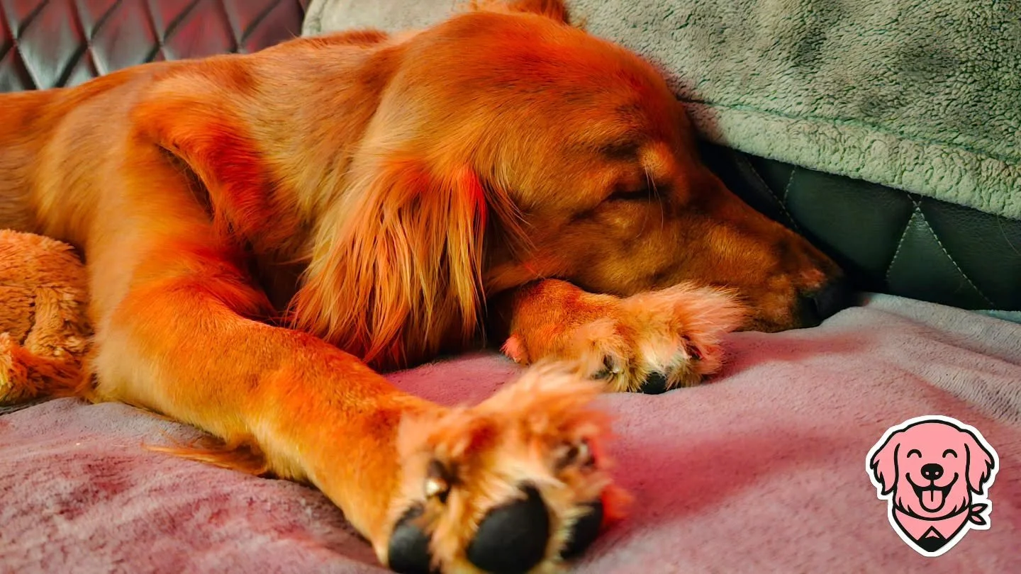 Tired girl
