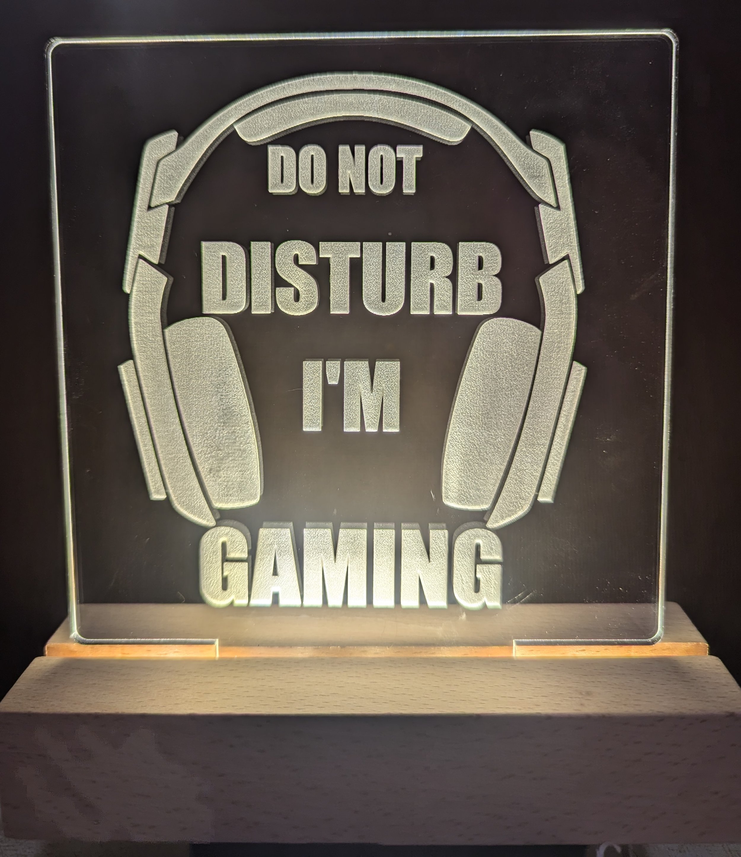 Do Not Disturb Gaming Large Night Light