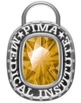 PIMA Pendant.png