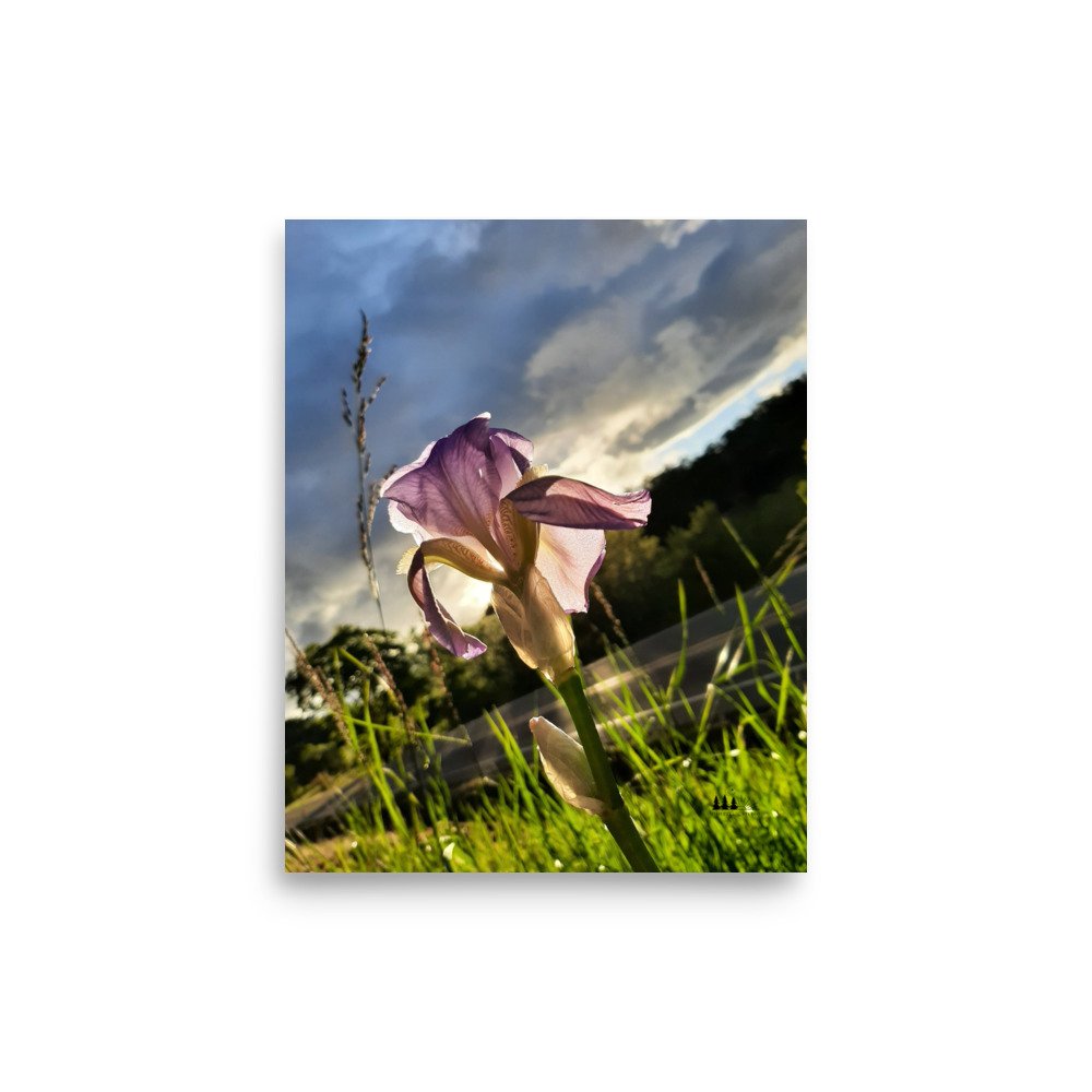 enhanced-matte-paper-poster-(in)-8x10-front-66a26fa4b784f.jpg