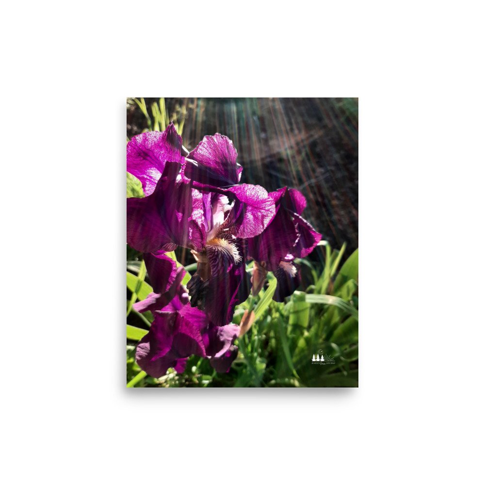 enhanced-matte-paper-poster-(in)-8x10-front-66a3e1142911b.jpg
