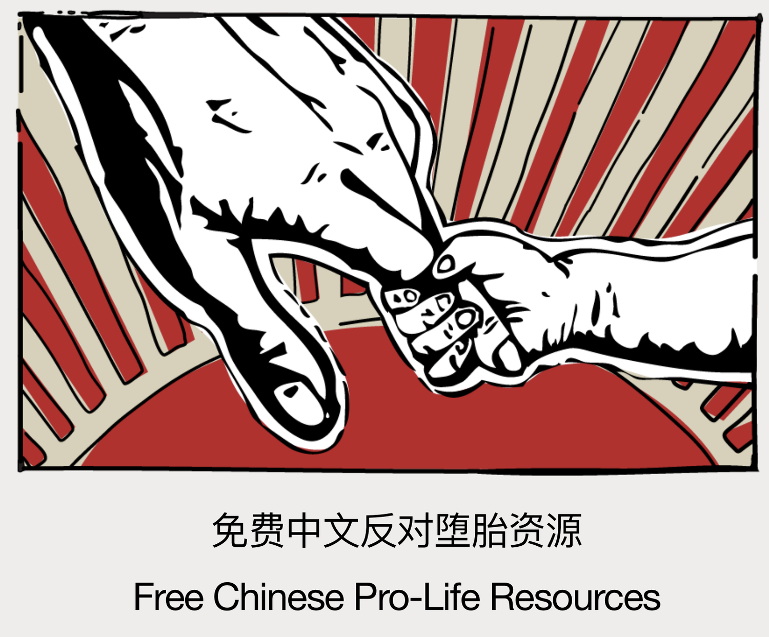 免费中文反对堕胎资源 Free Chinese Pro-Life Resources