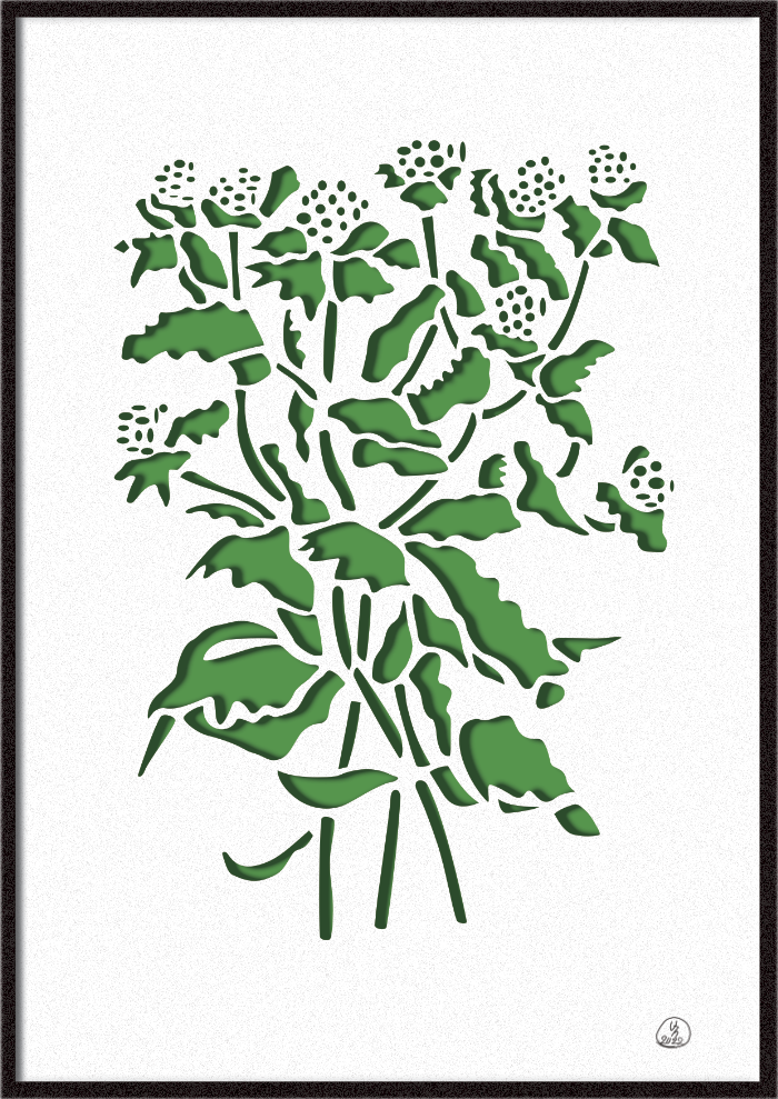 plante 2 vert cadre.png