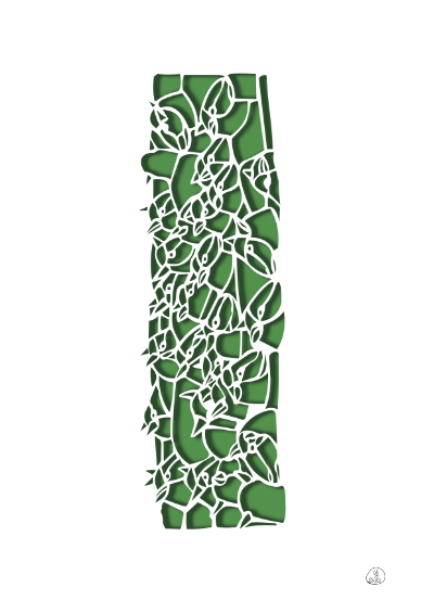 fleur 10 vert cadre.png