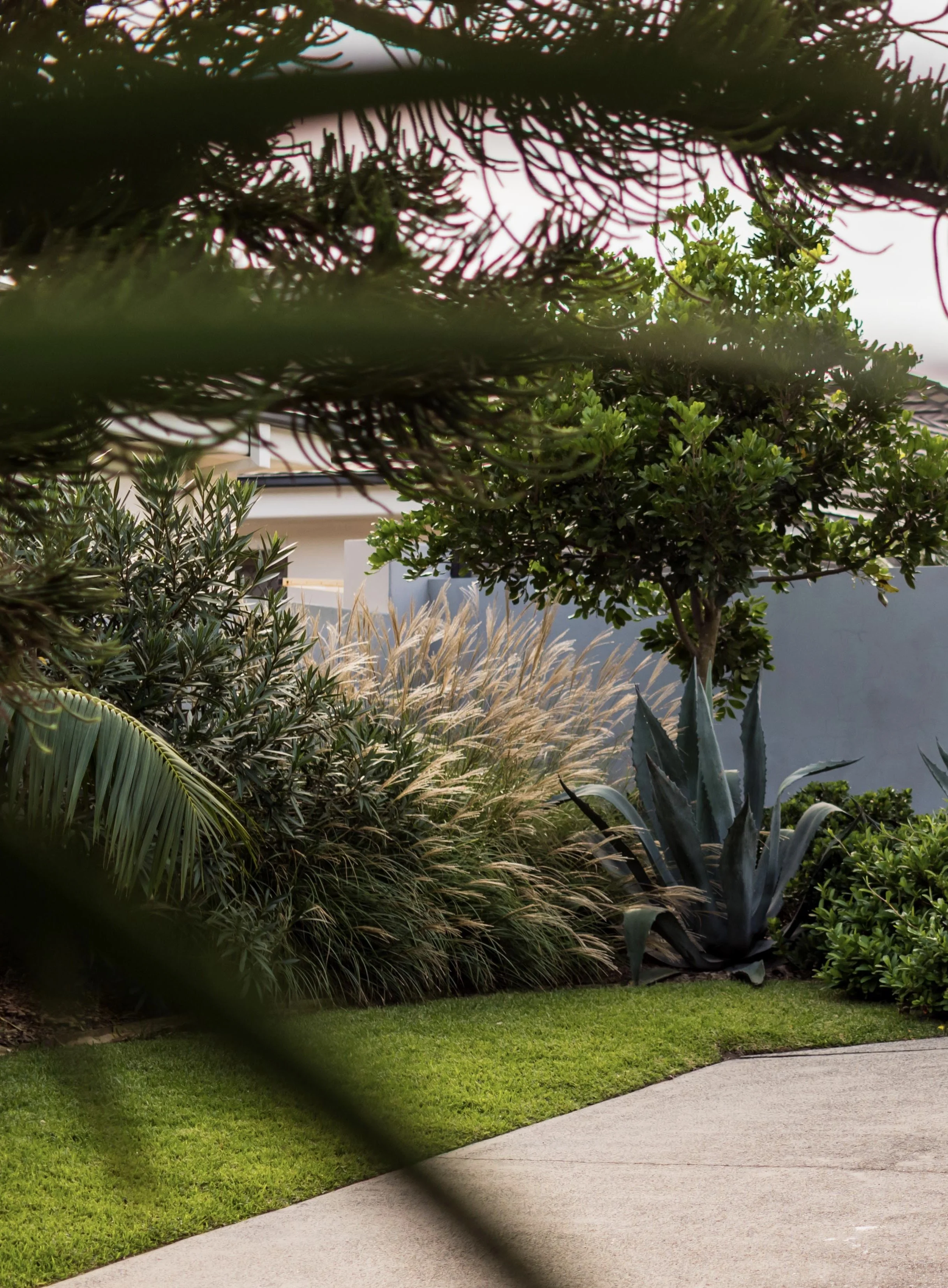 Completed landscape design and construction project Blue Bay Central Coast