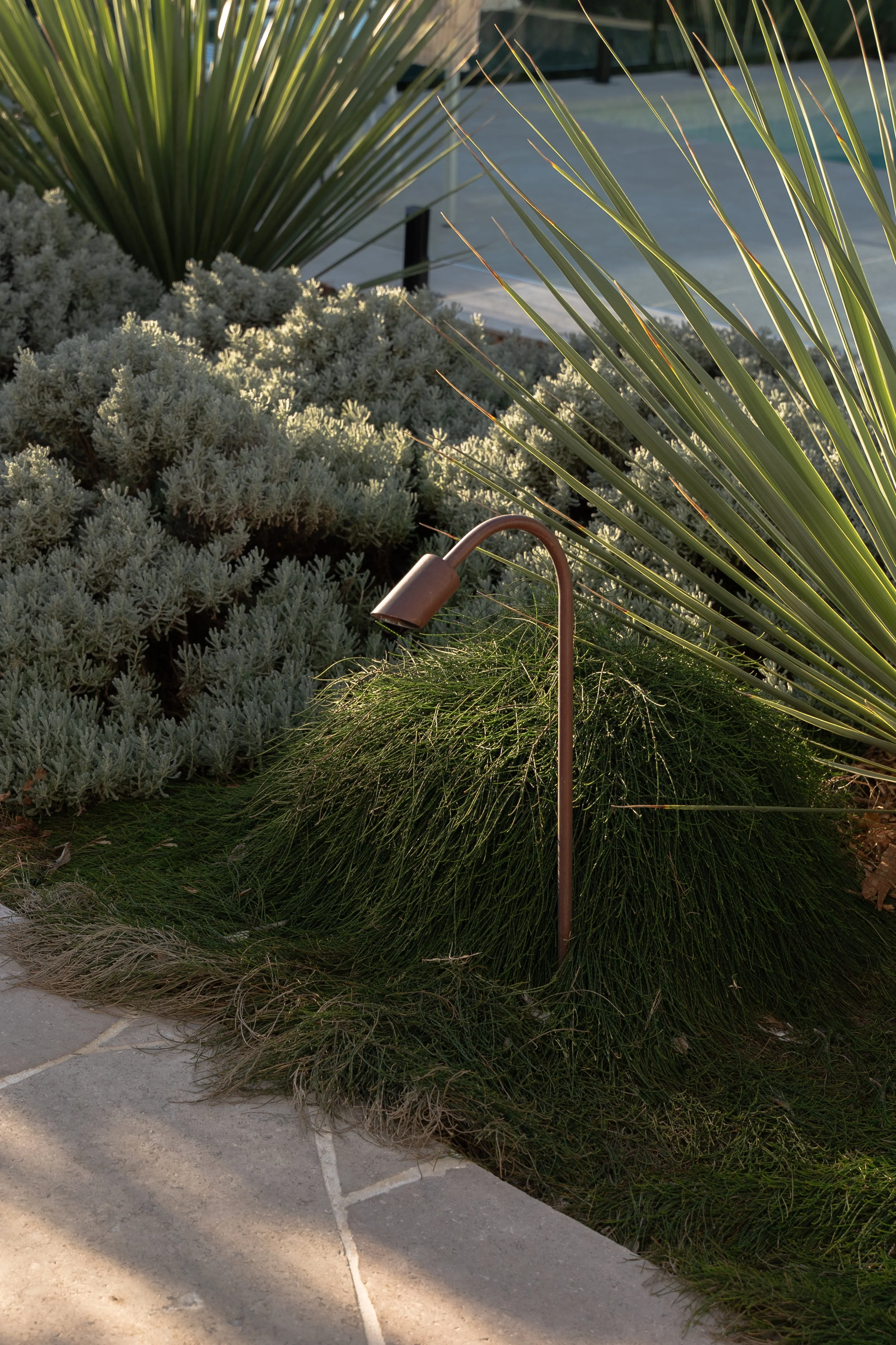 Layered textural planting beside natural stone paving in a Wamberal garden on the Central Coast.
