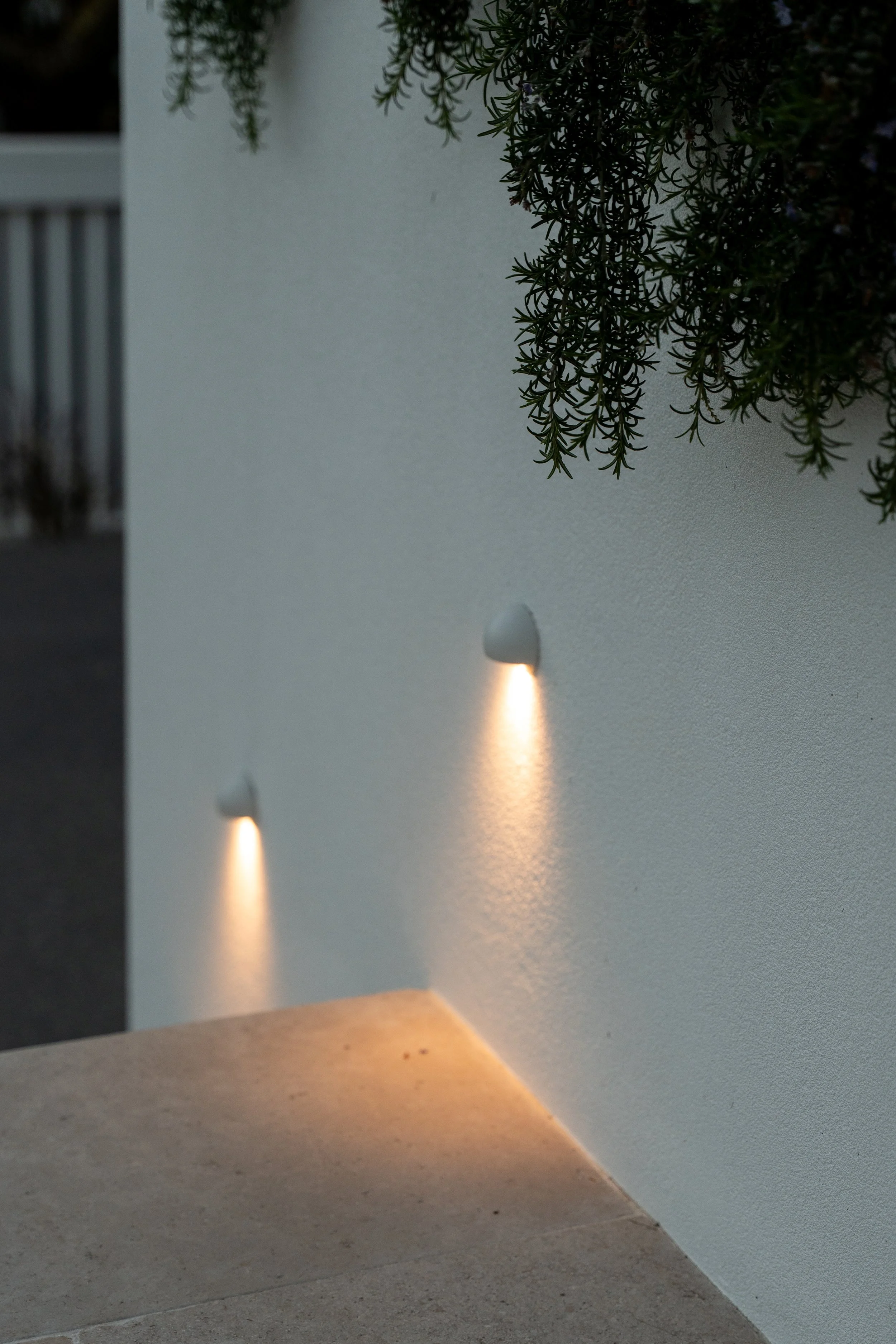 Garden lighting design in Central Coast front garden
