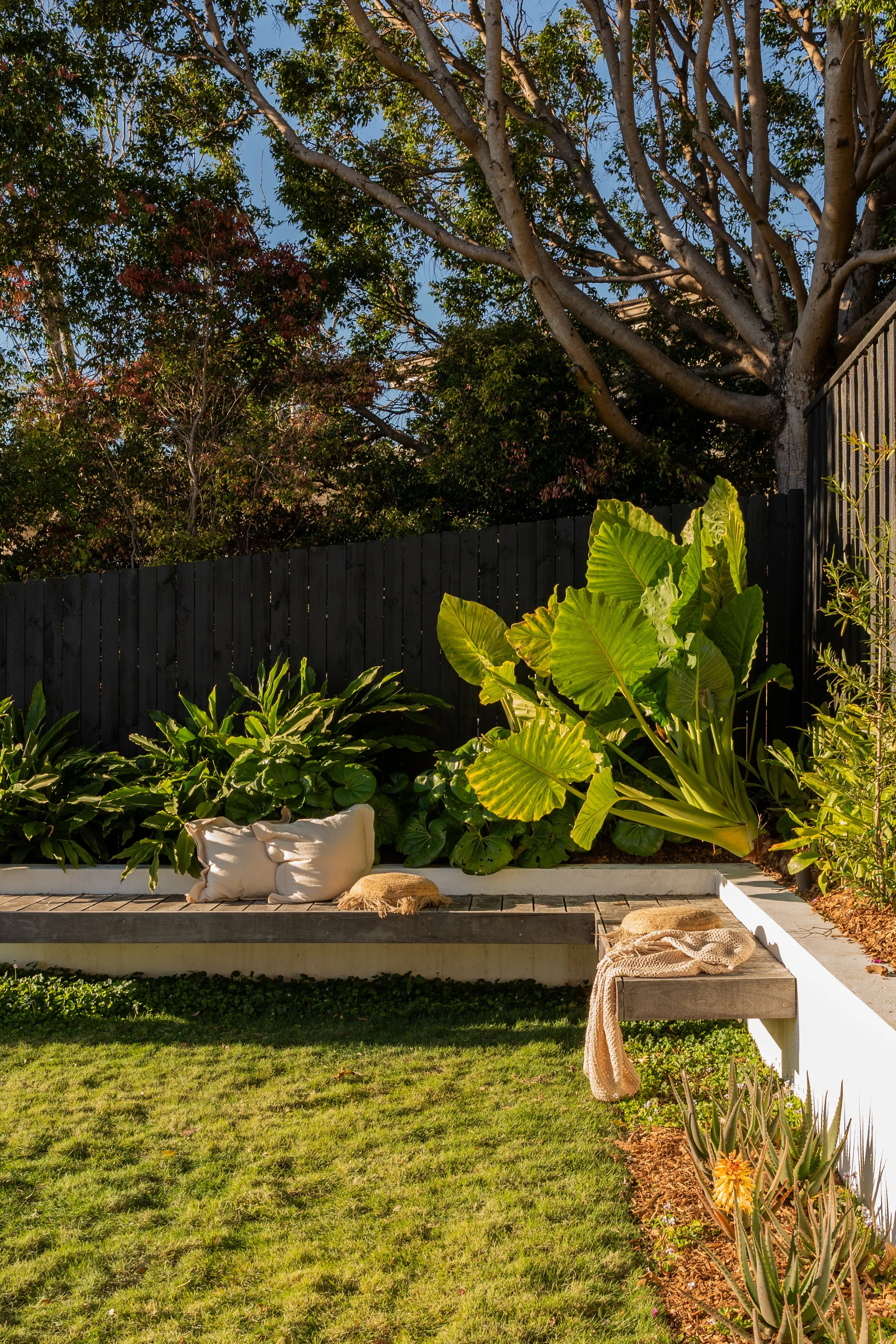 Landscape planning for a new home and garden on the Central Coast