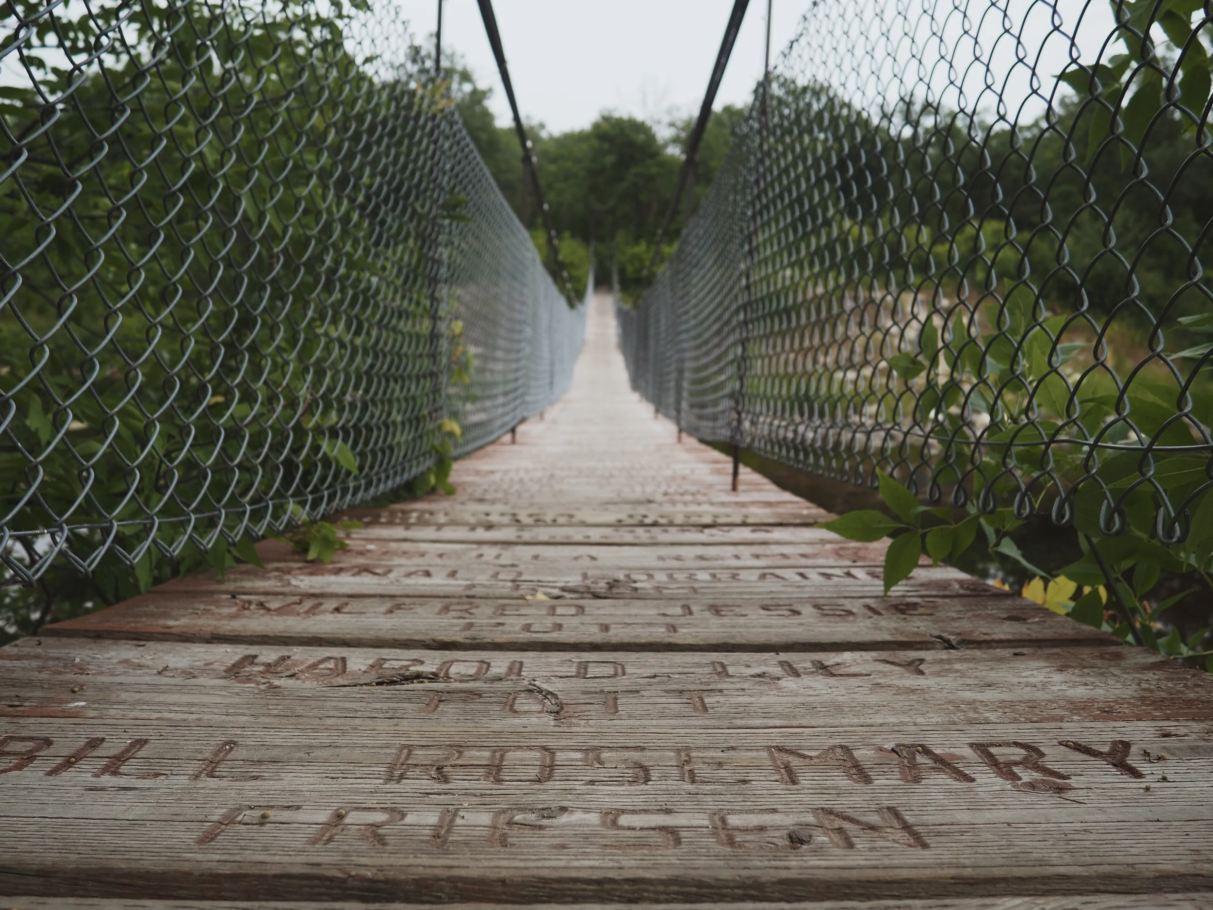 A0945F40-5F4A-4096-922D-9BFFC7C84B2B 3.JPG