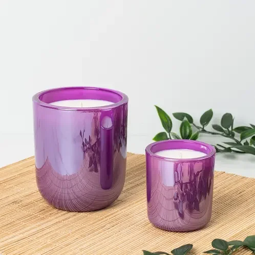 electric_violet_sonoma_tumbler_jar_group_lifestyle.webp (Copy)