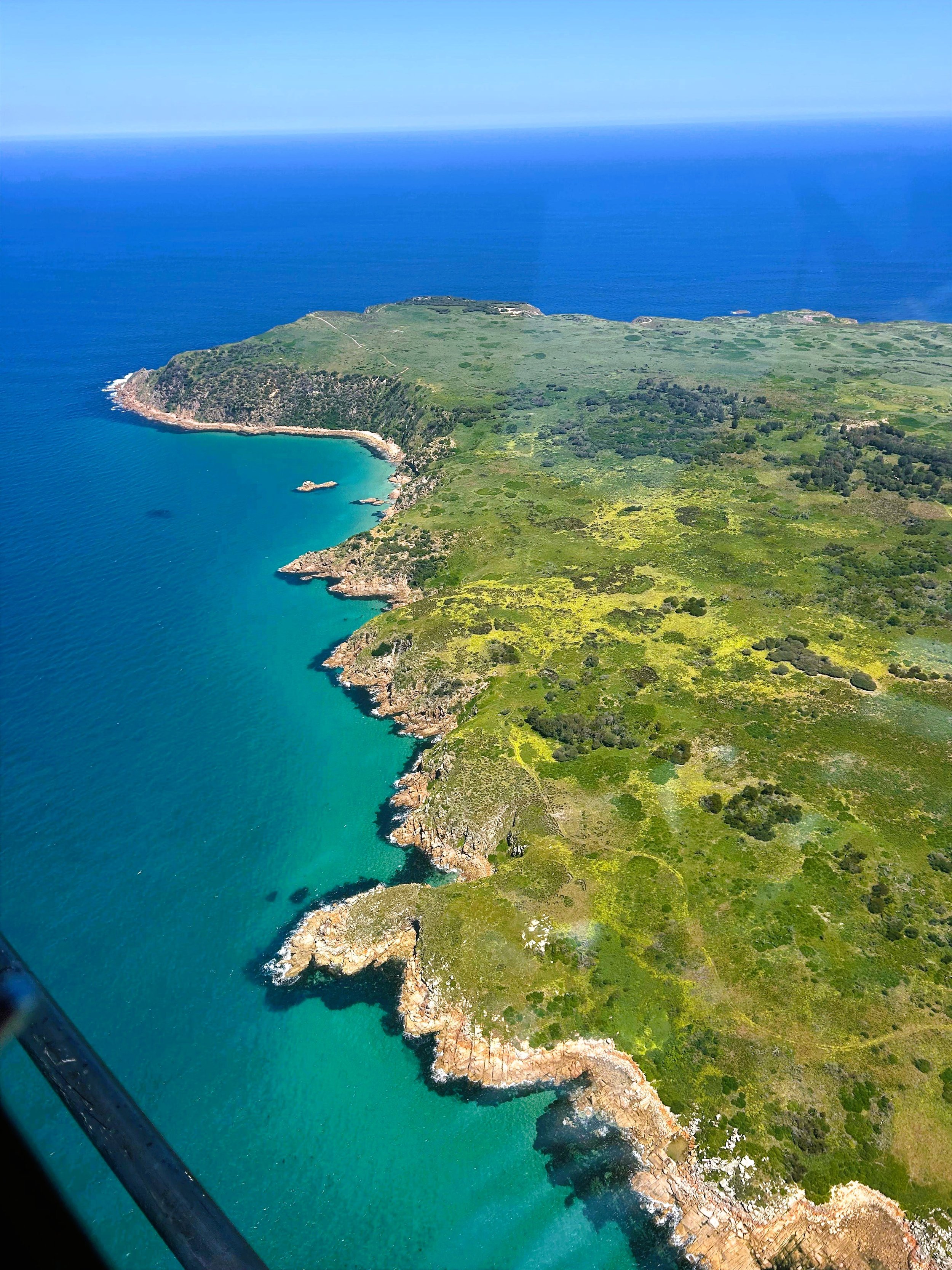 Cape Woolamai 2 Updated.JPG