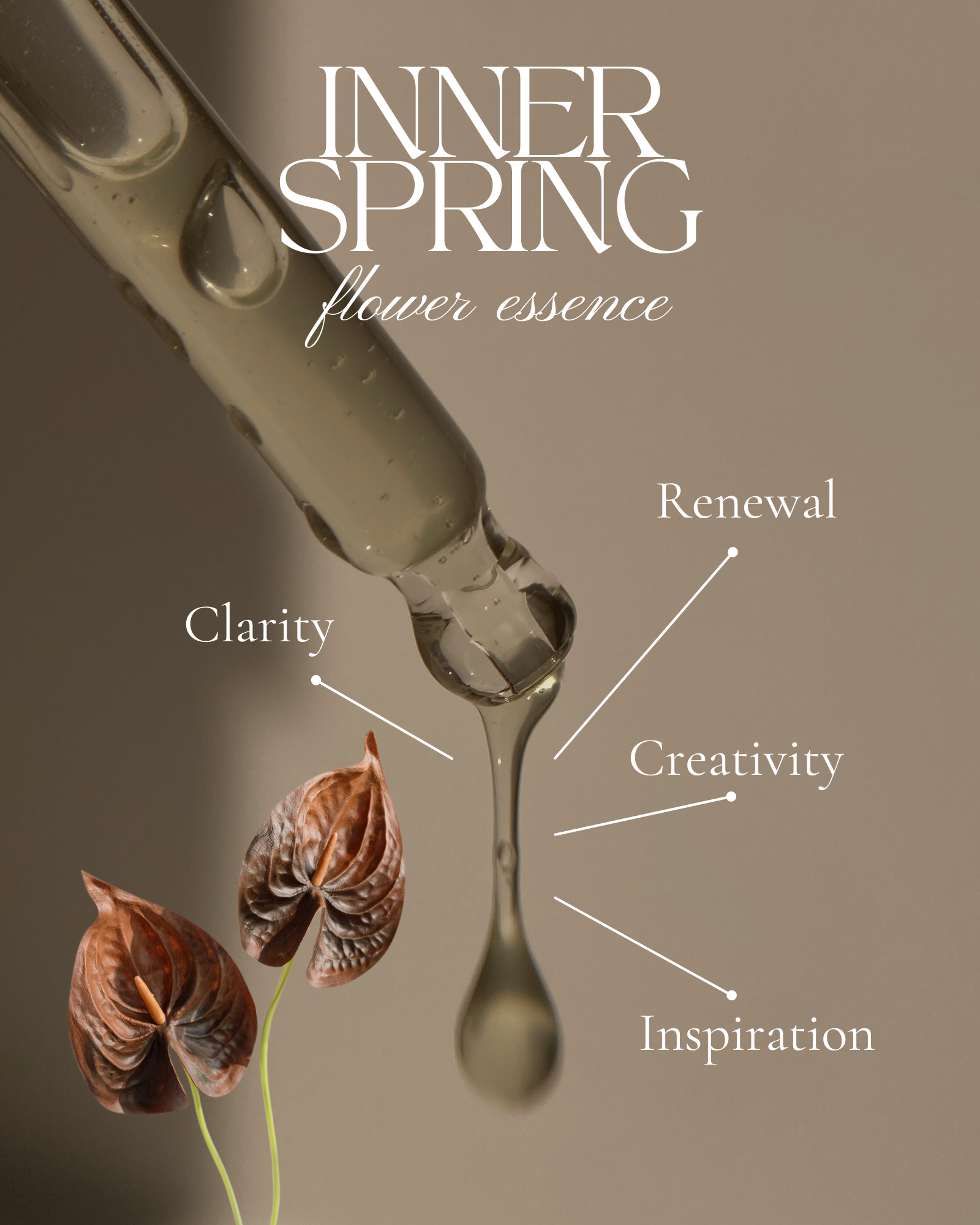 Garden of Ti Inner Spring.png