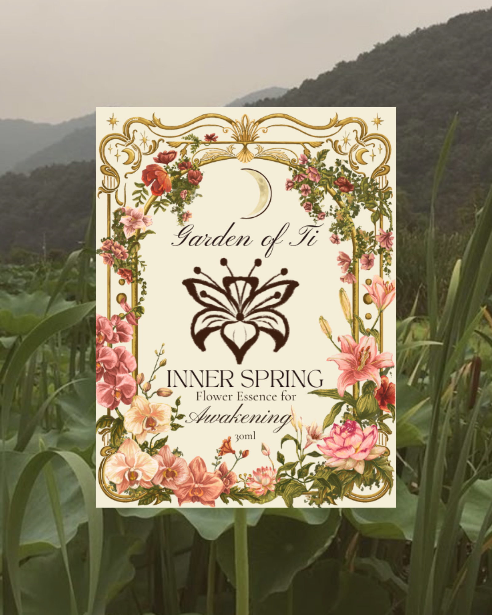 Garden of Ti Inner Spring (1).png